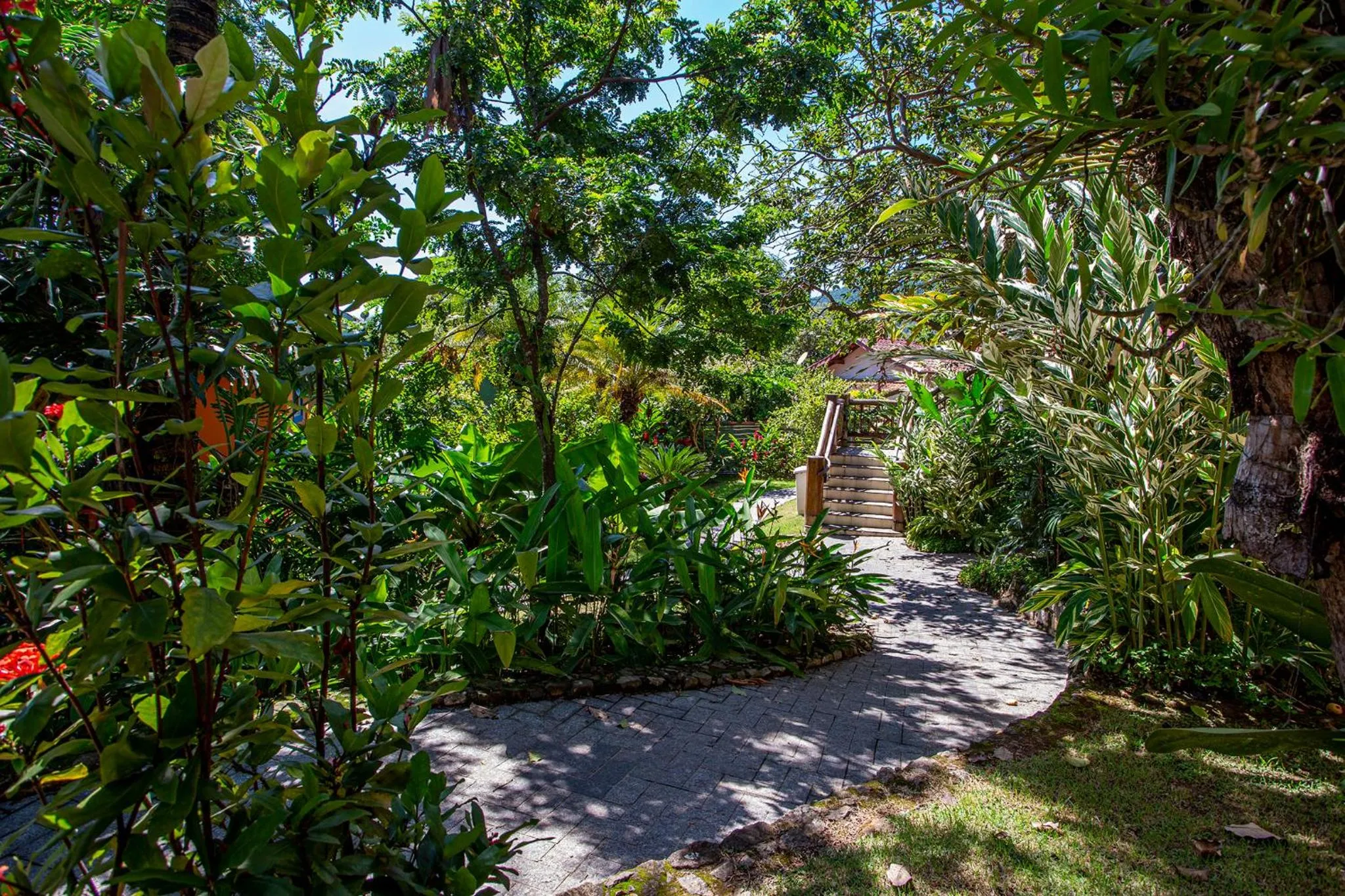 Garden view in Hotel Alemão Beach de Ilhabela