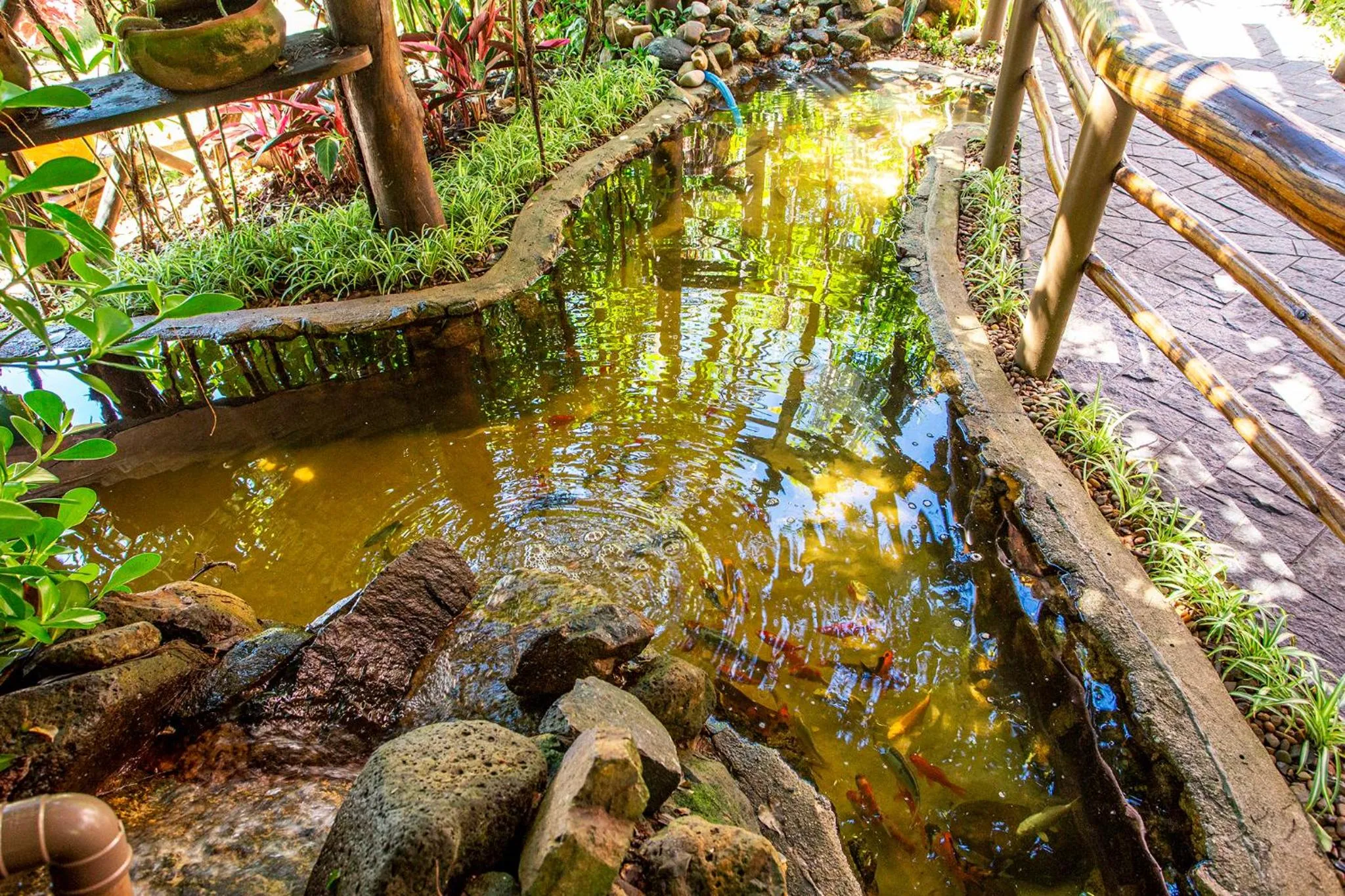 Natural landscape in Hotel Alemão Beach de Ilhabela