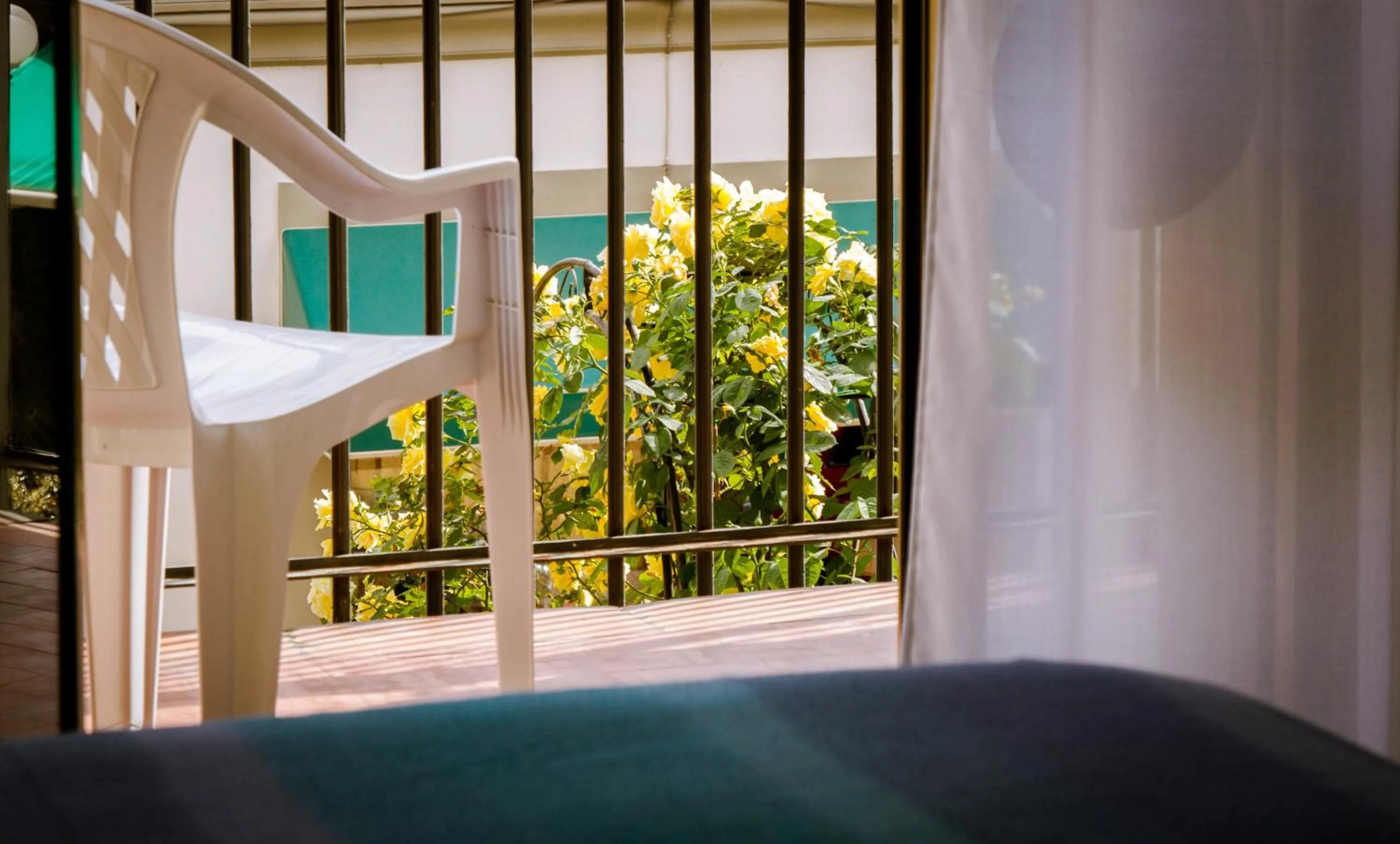 Balcony/Terrace in Hotel Reale