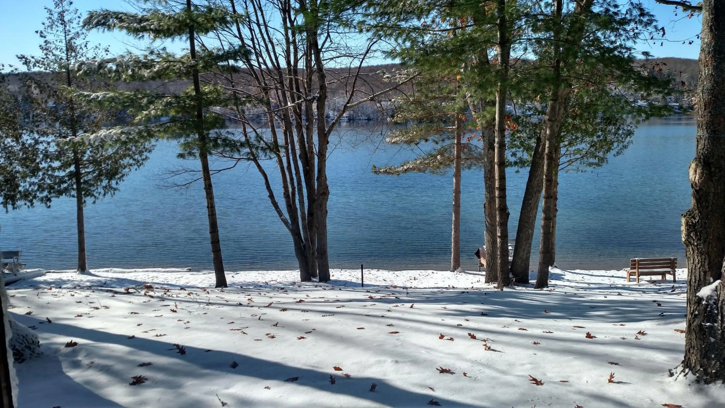 Winter in Log Cottage on Blue Lake