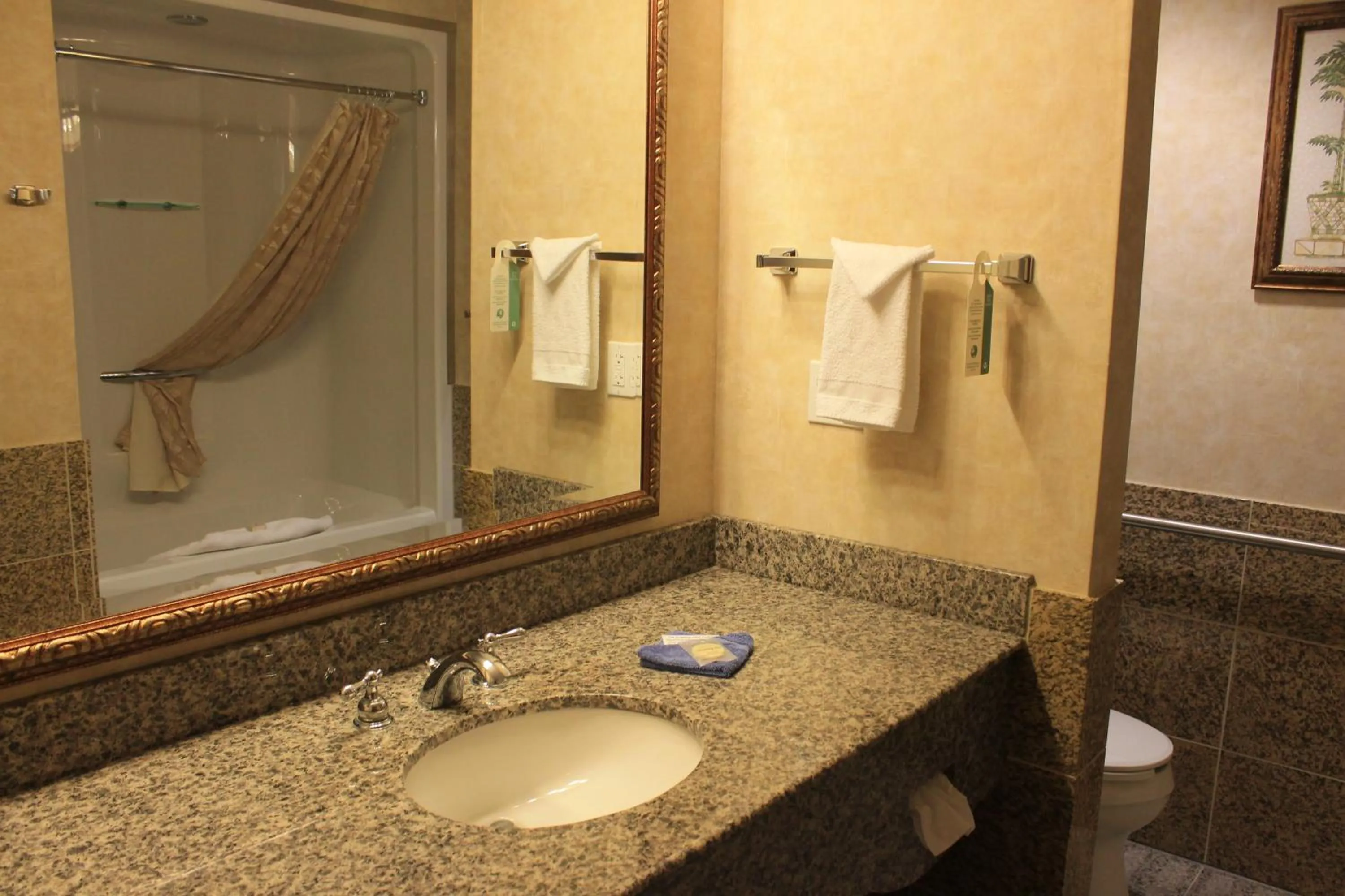 Bathroom in Rushmore Express & Suites