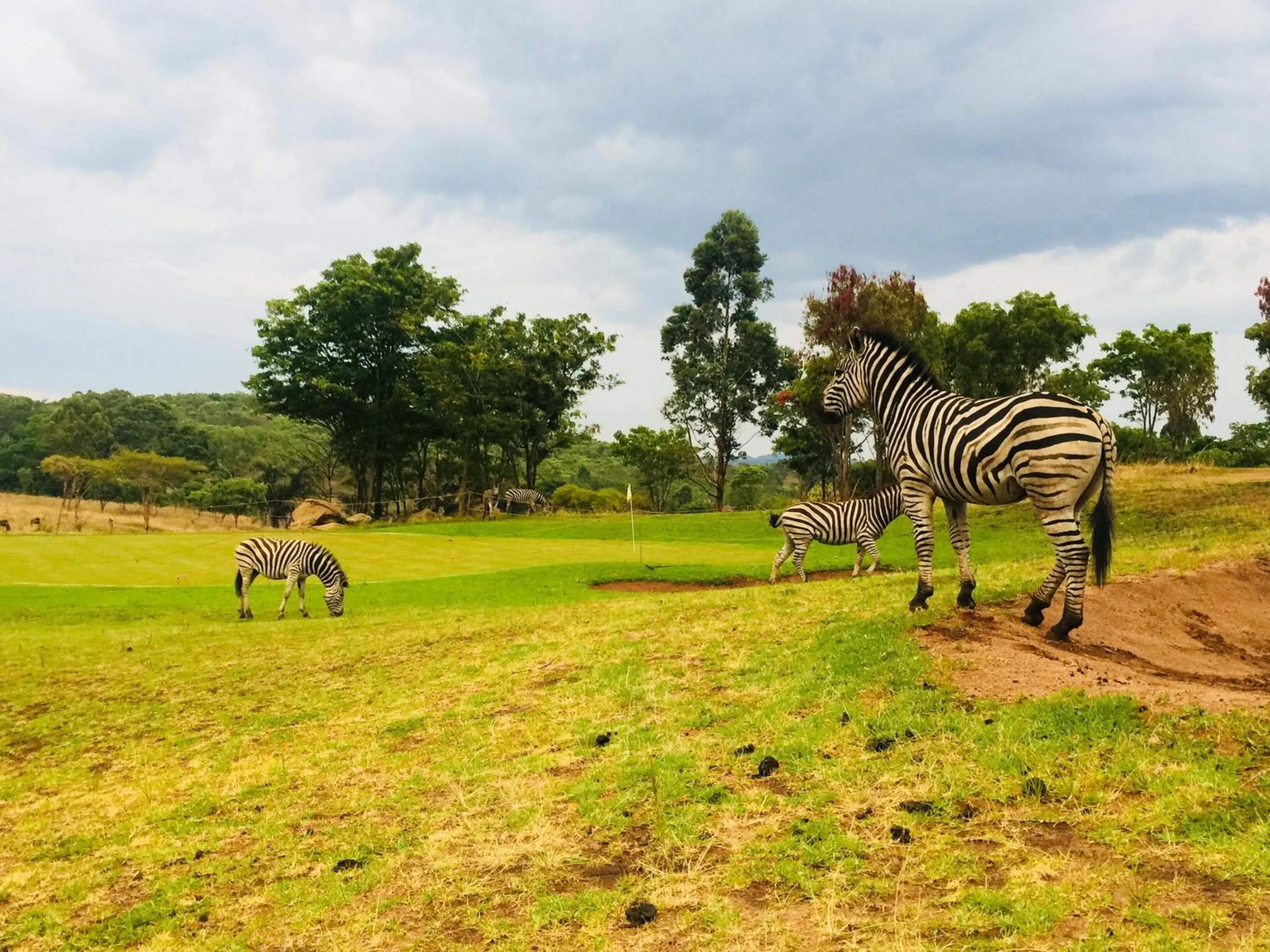 Activities in Game Haven Lodge