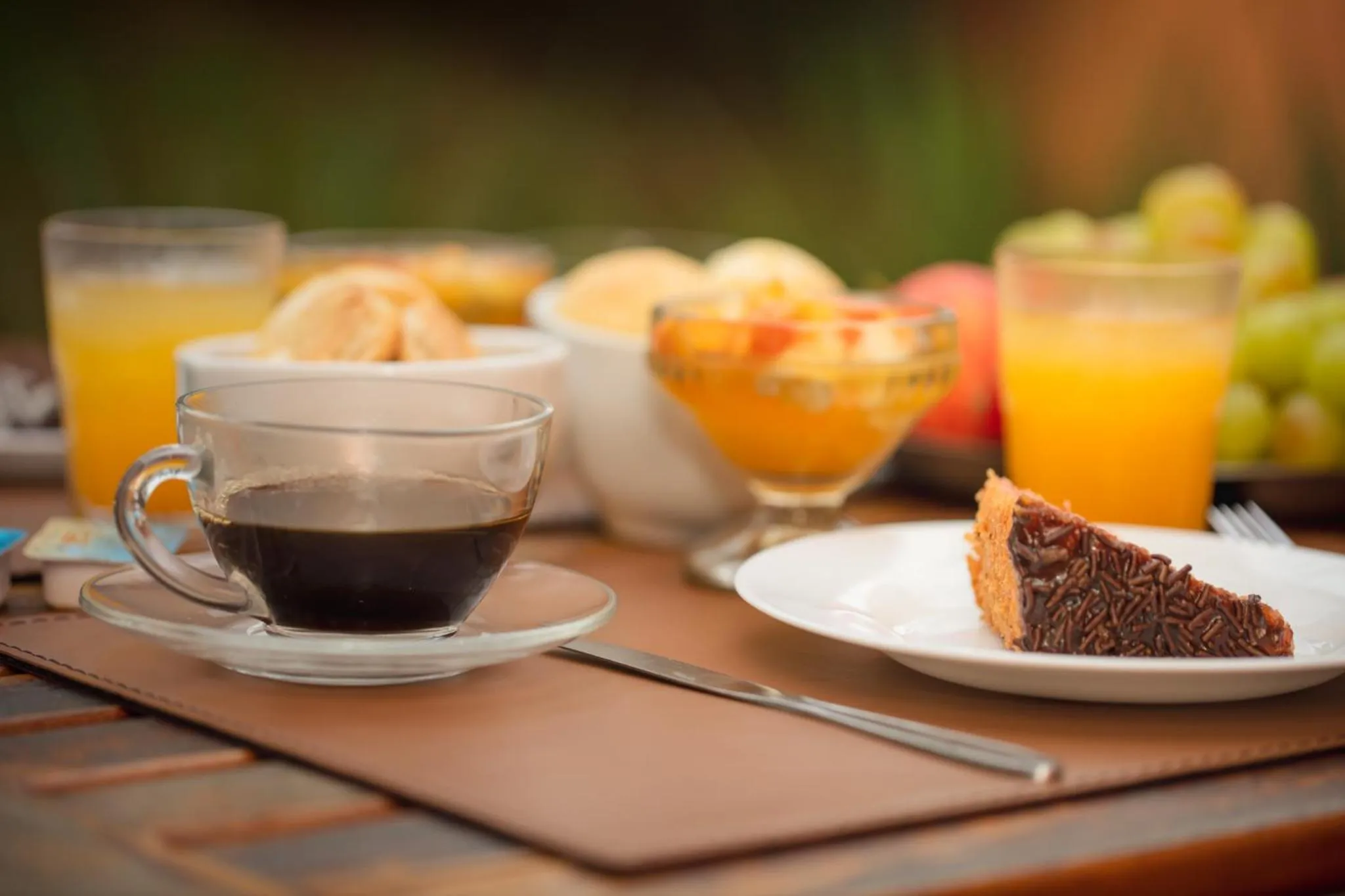 Fênix Hotel Varginha