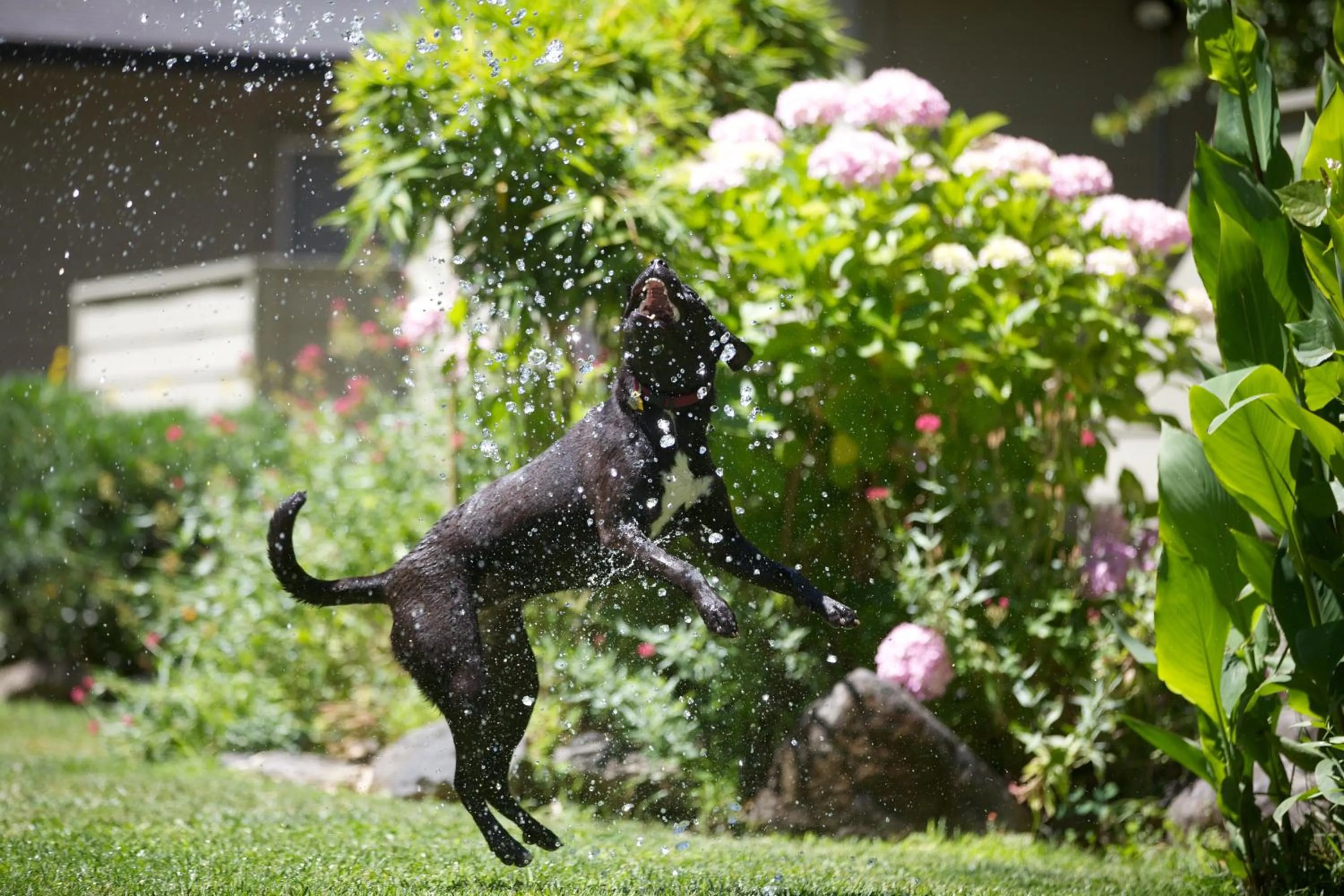 Other in Cottages On River Road