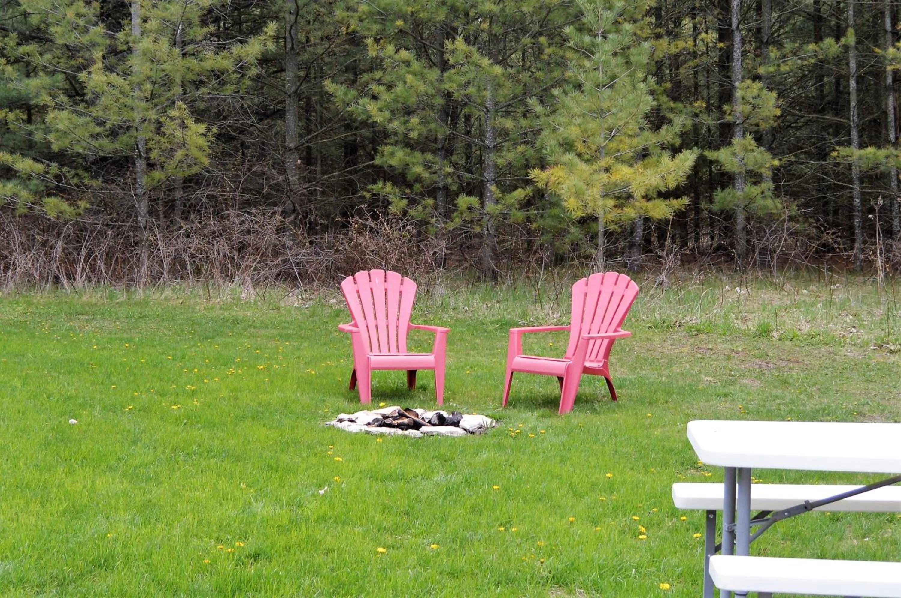 Garden in Baileys Sunset Cottages