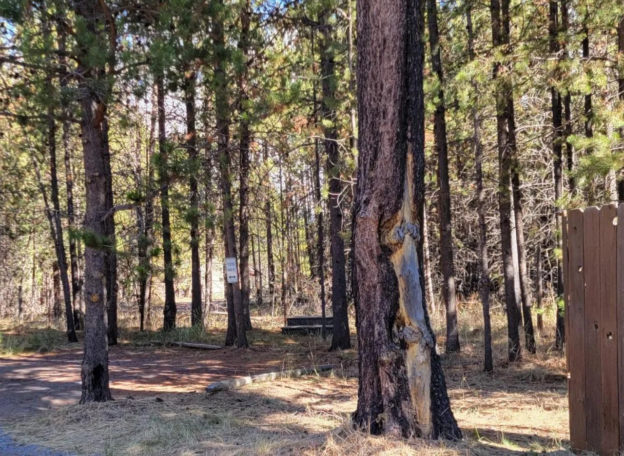 Parking in DiamondStone Guest Lodges