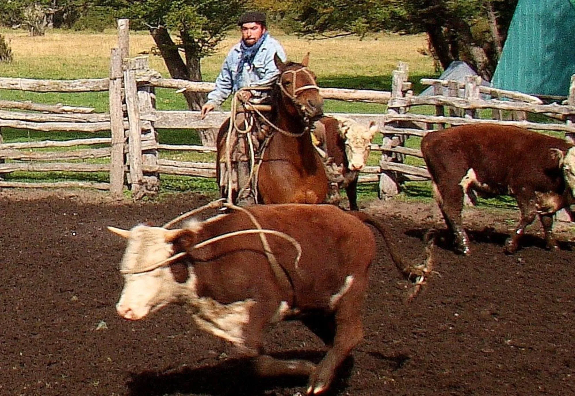 Vista al Paine - Refugio de Aventura