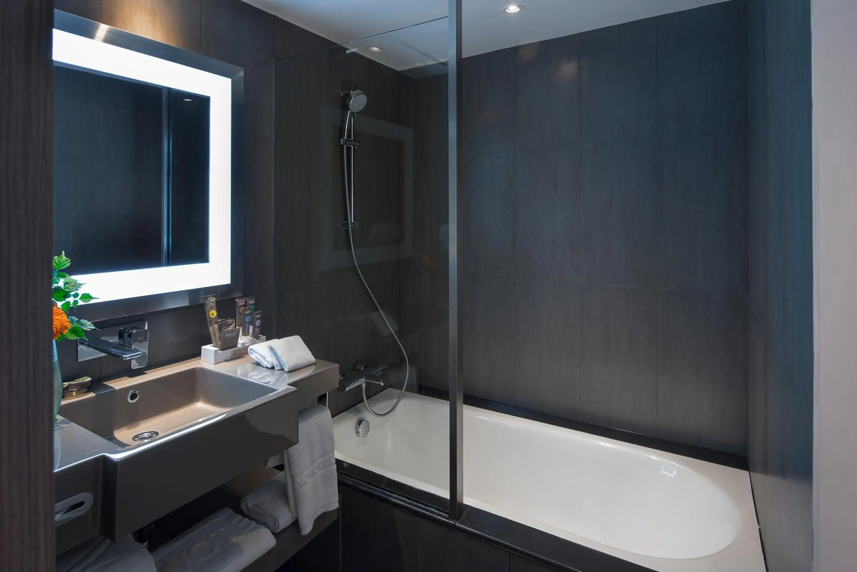 Bathroom in Novotel Bangkok Bangna