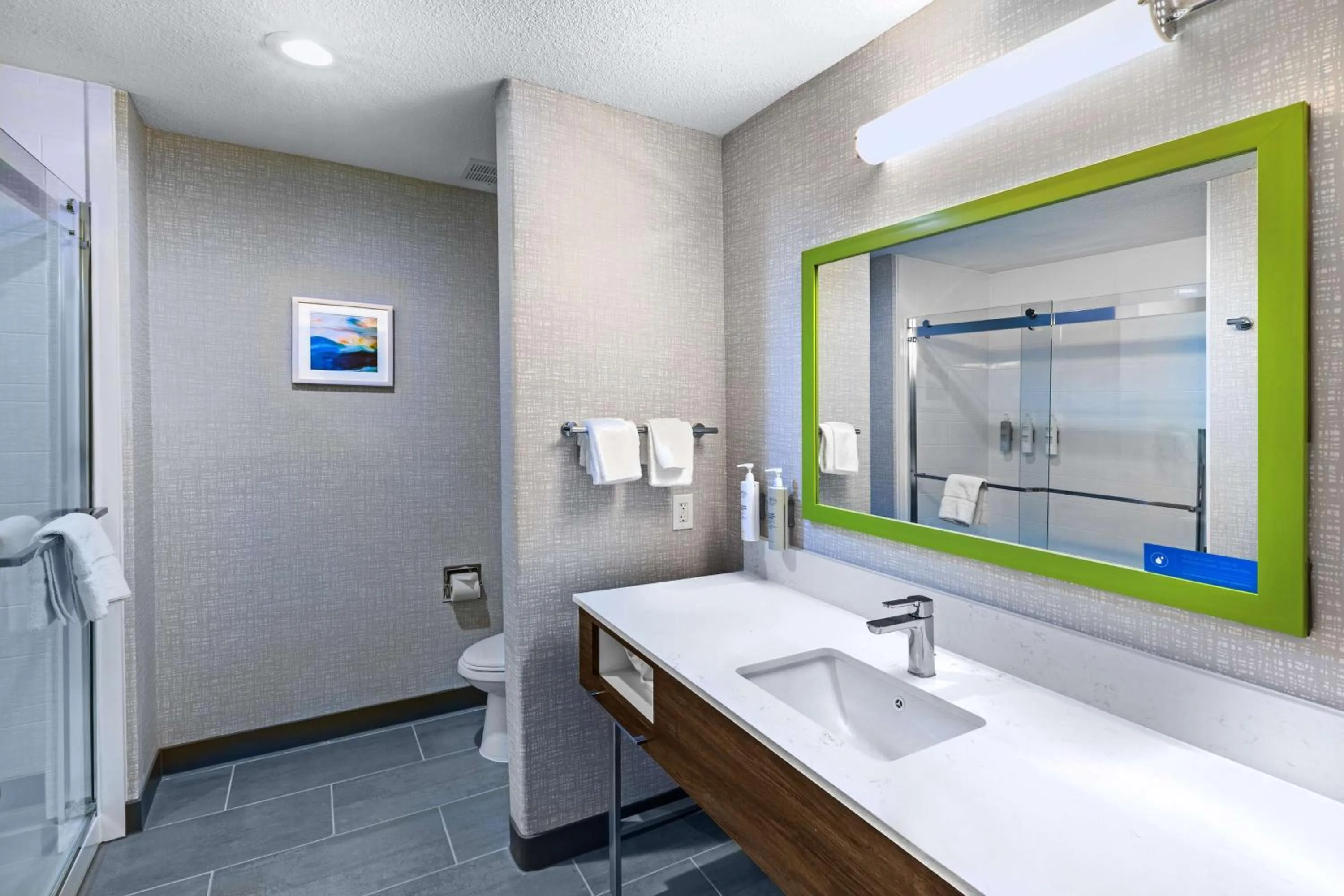 Bathroom in Hampton Inn & Suites Dallas I-30 Cockrell Hill, Tx