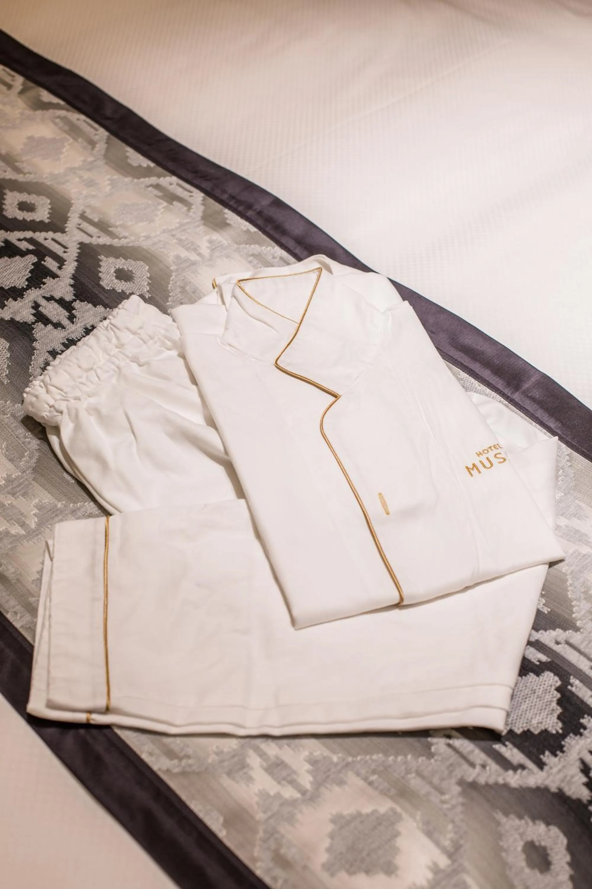 Area and facilities in Hotel Musse Ginza Meitetsu