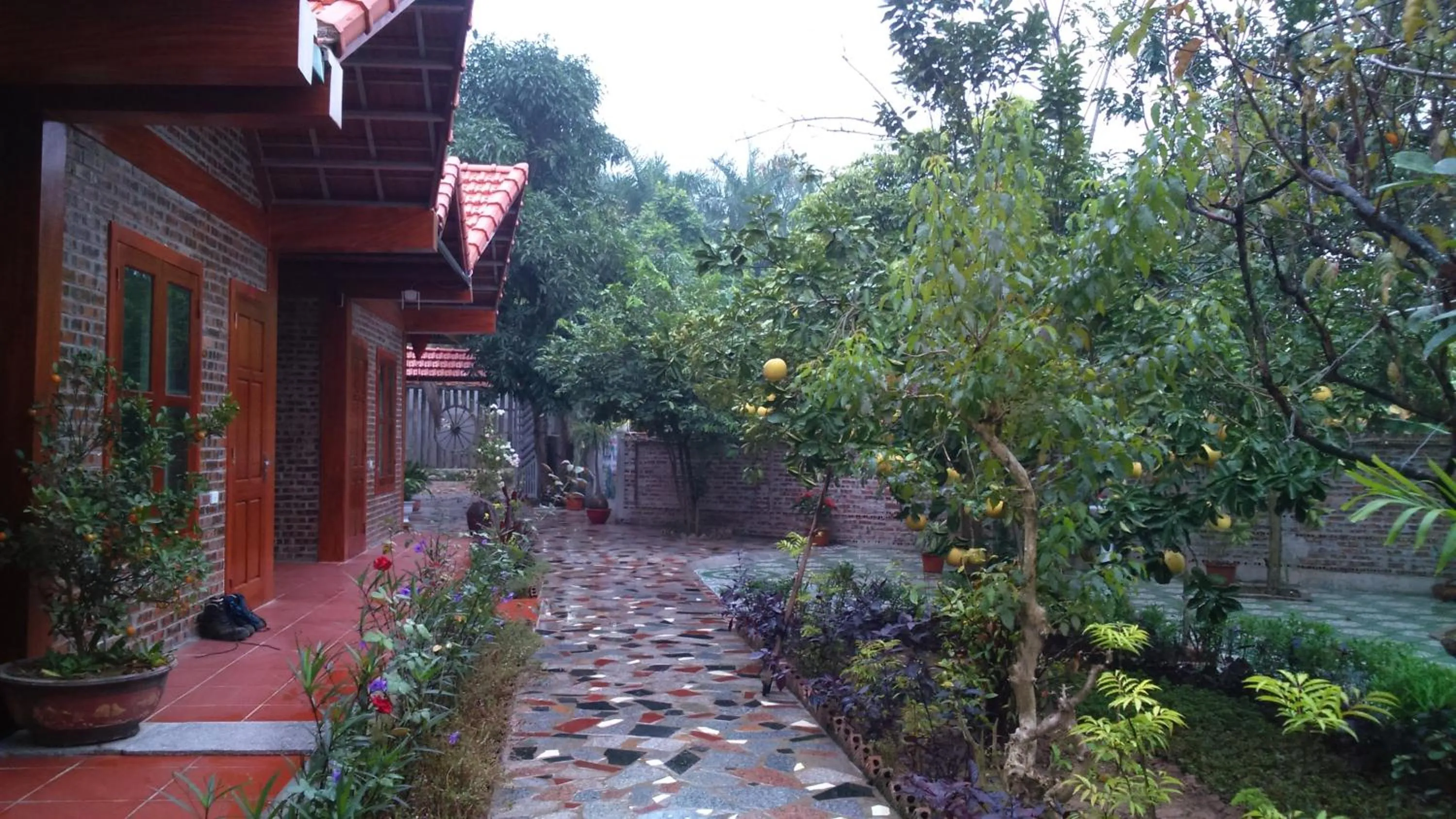 Garden in Tam Coc Thanh Dat Homestay