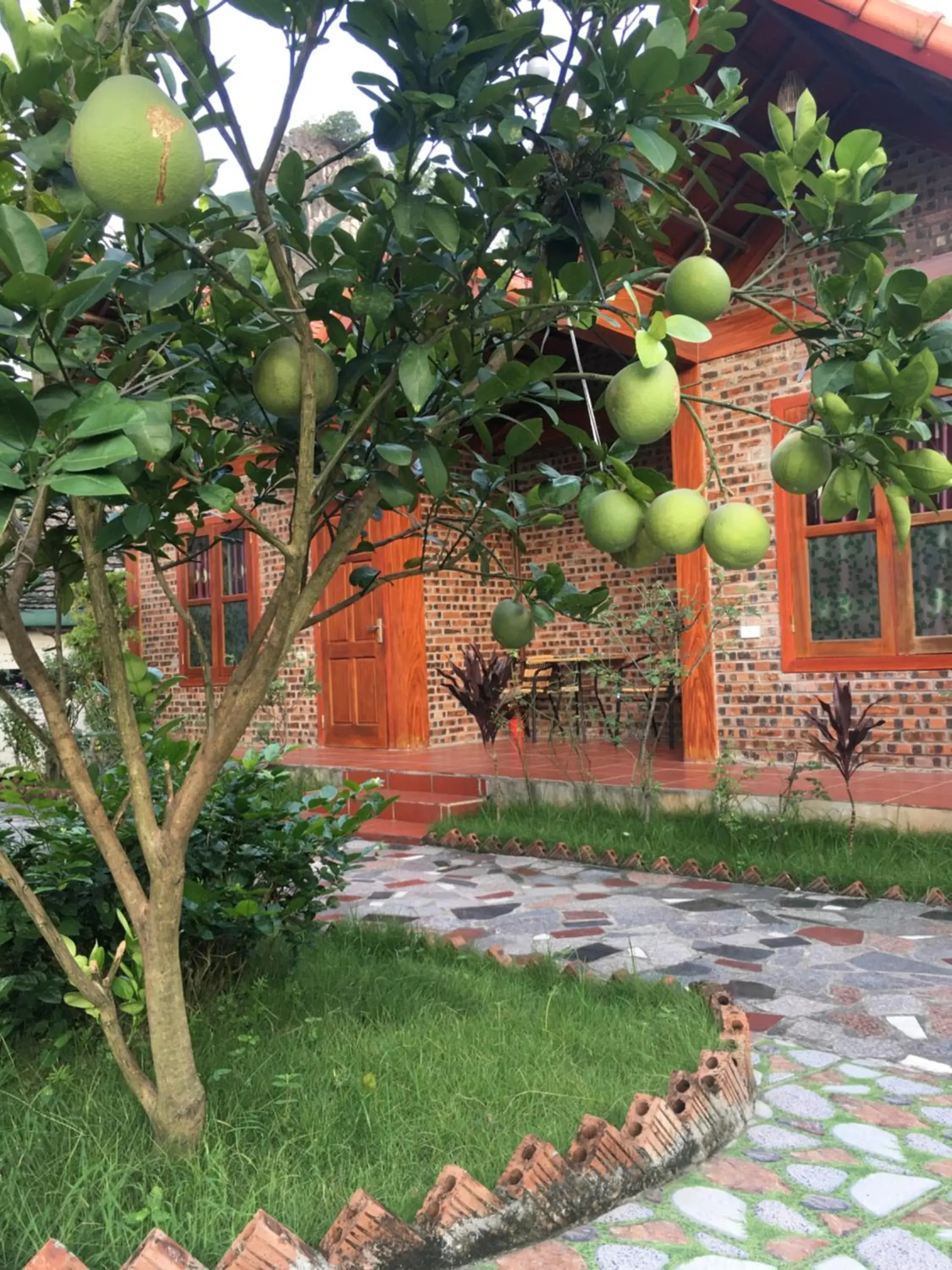 Garden view in Tam Coc Thanh Dat Homestay Garden view in Tam Coc Thanh Dat Homestay