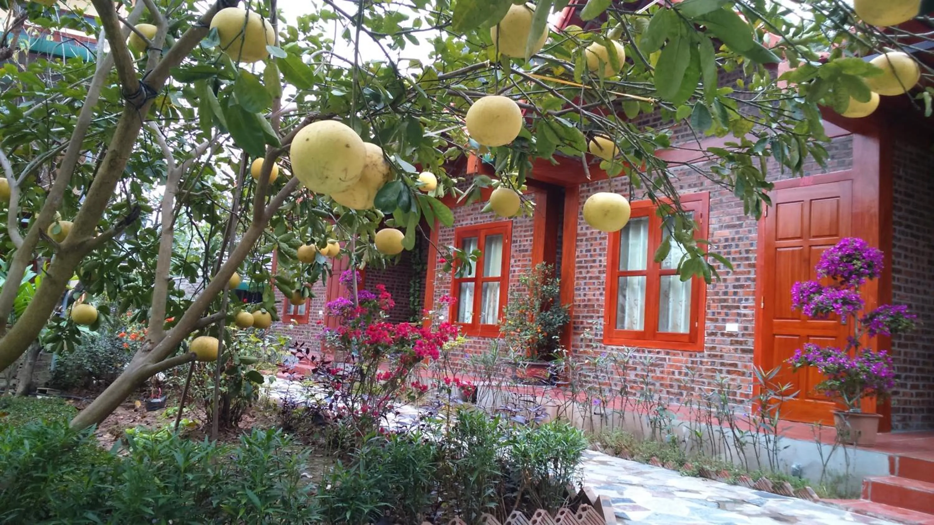 Garden in Tam Coc Thanh Dat Homestay