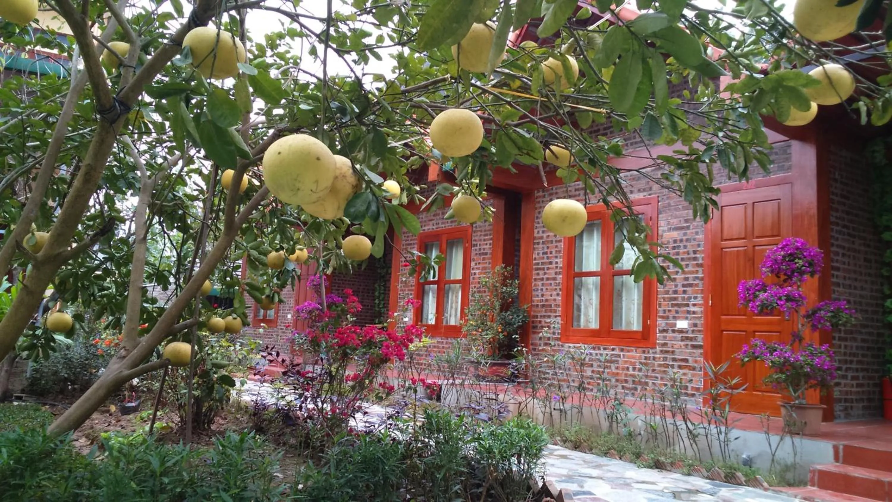 Balcony/Terrace in Tam Coc Thanh Dat Homestay