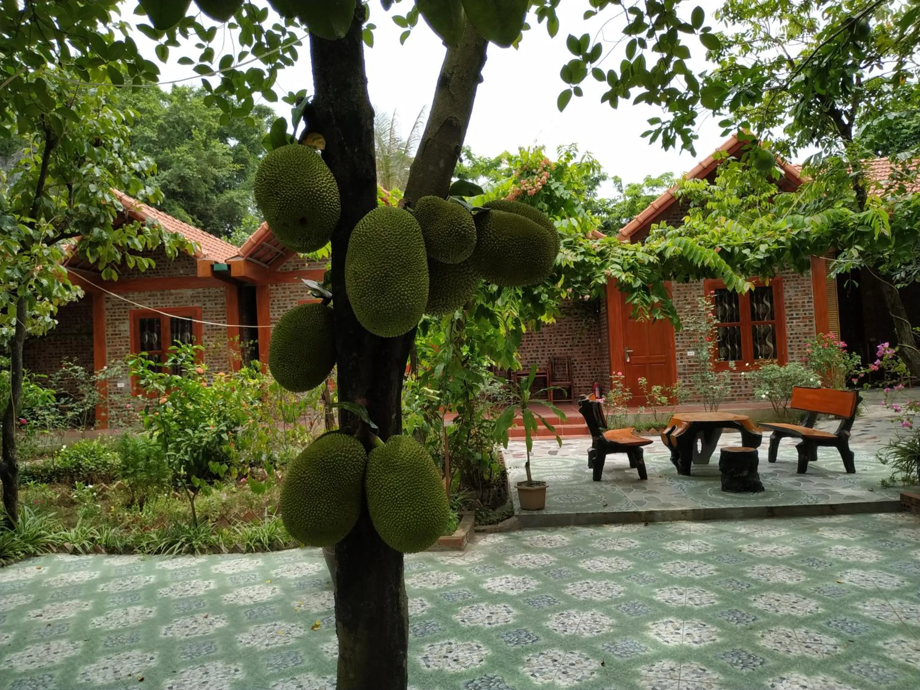 Garden in Tam Coc Thanh Dat Homestay
