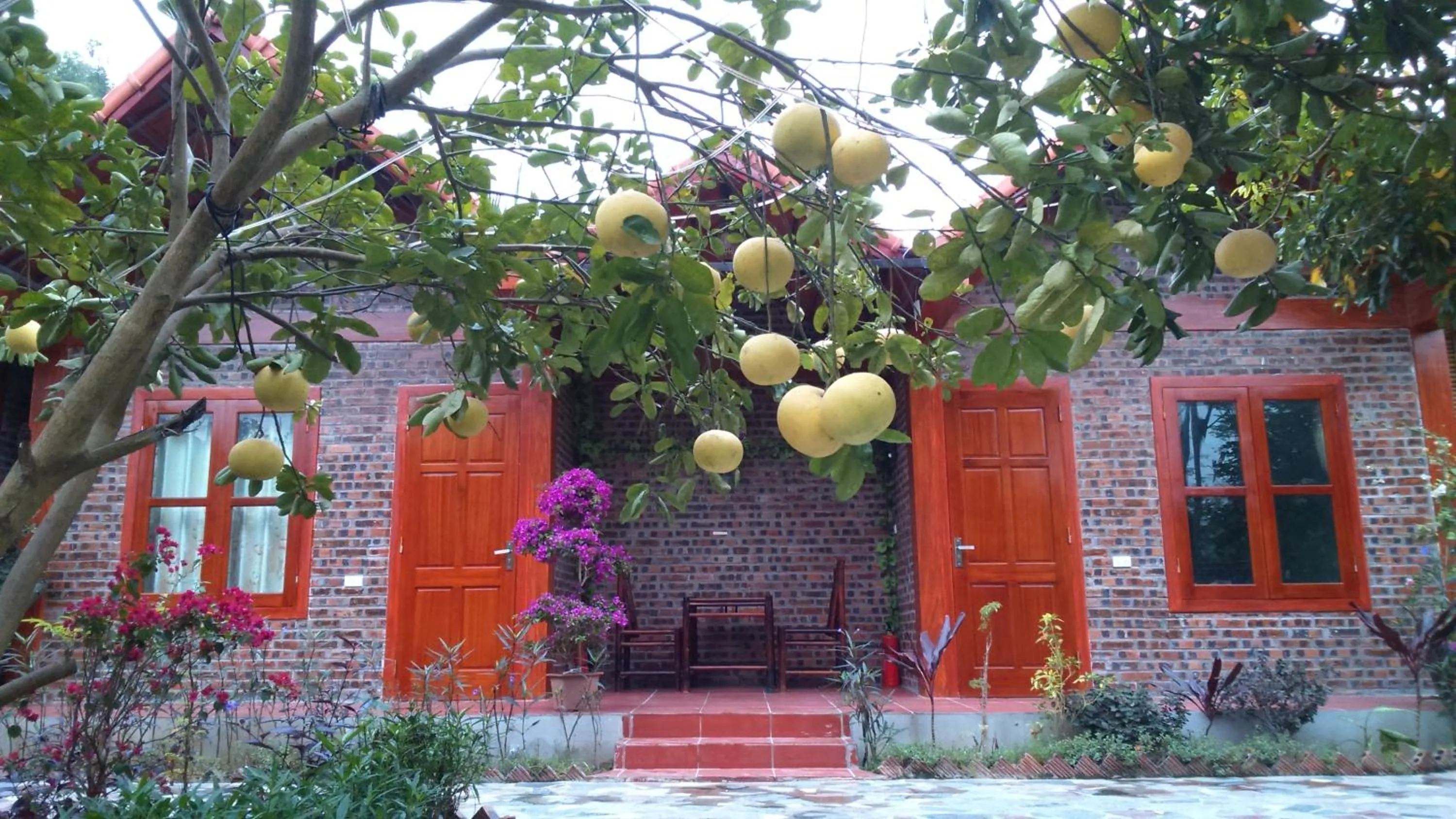 Facade/entrance in Tam Coc Thanh Dat Homestay