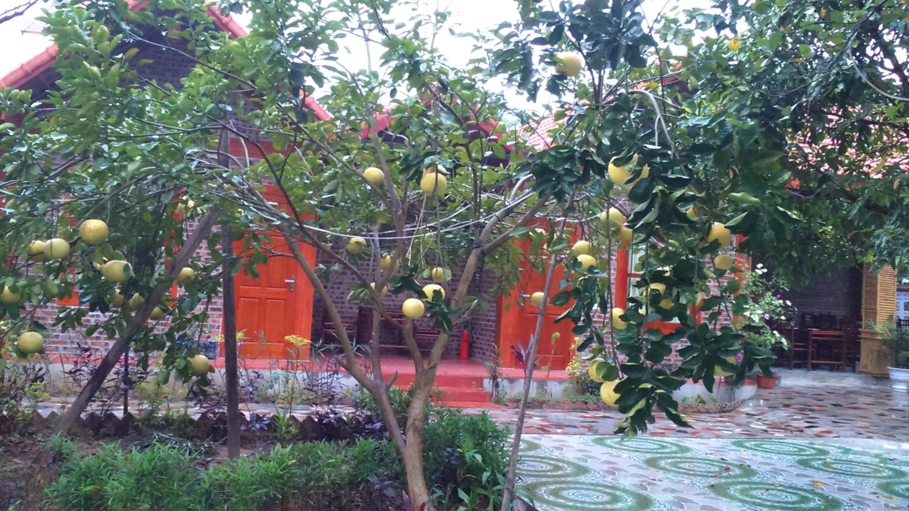 Garden in Tam Coc Thanh Dat Homestay