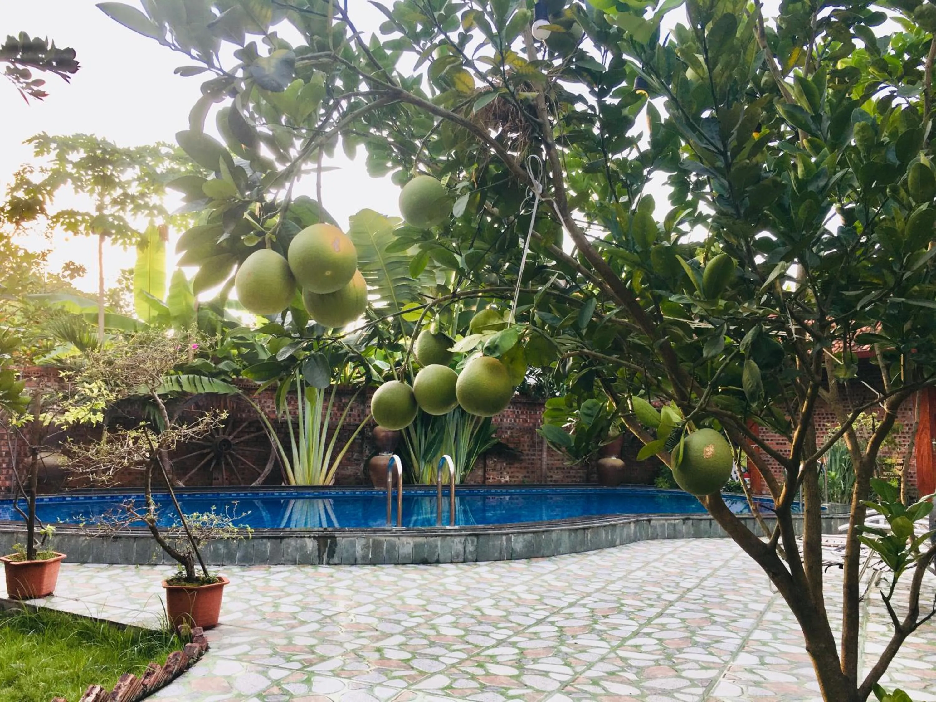 Swimming pool in Tam Coc Thanh Dat Homestay