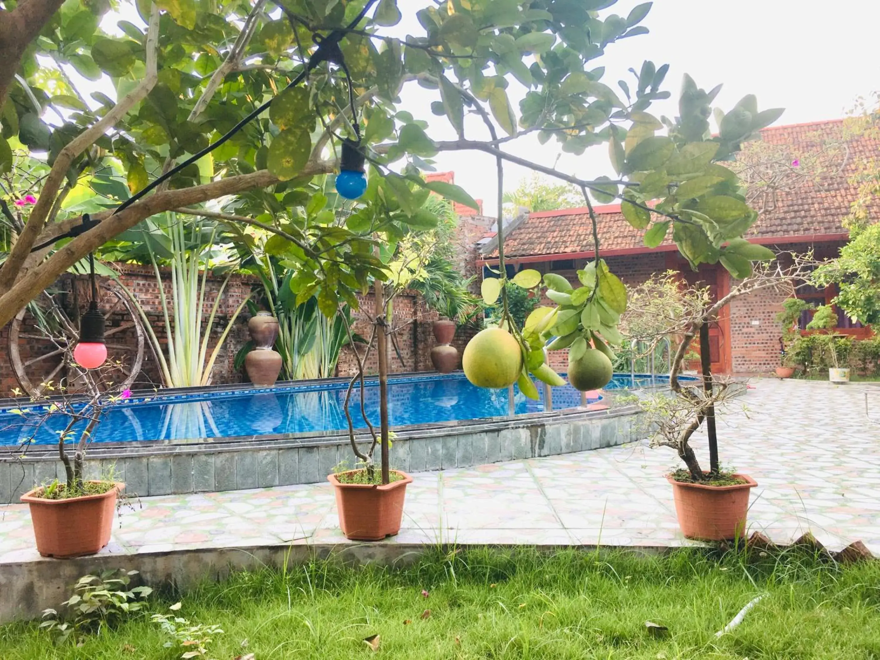 Garden view in Tam Coc Thanh Dat Homestay Garden view in Tam Coc Thanh Dat Homestay