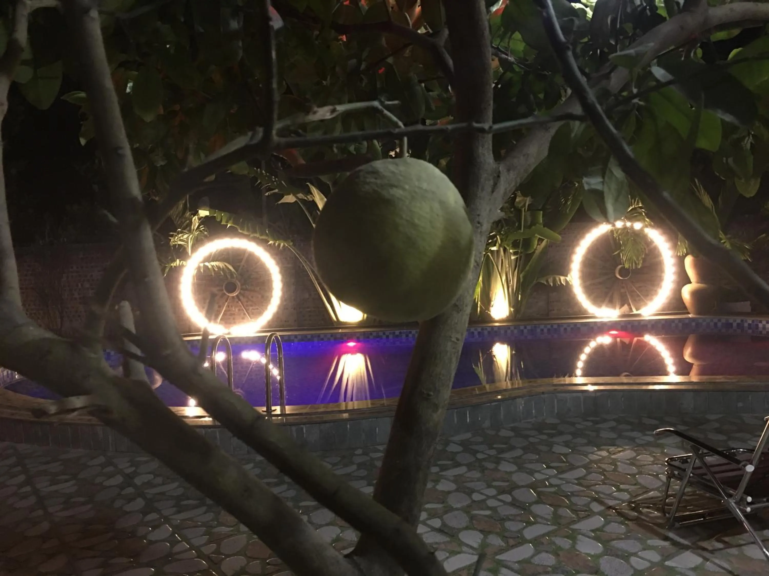 Garden in Tam Coc Thanh Dat Homestay