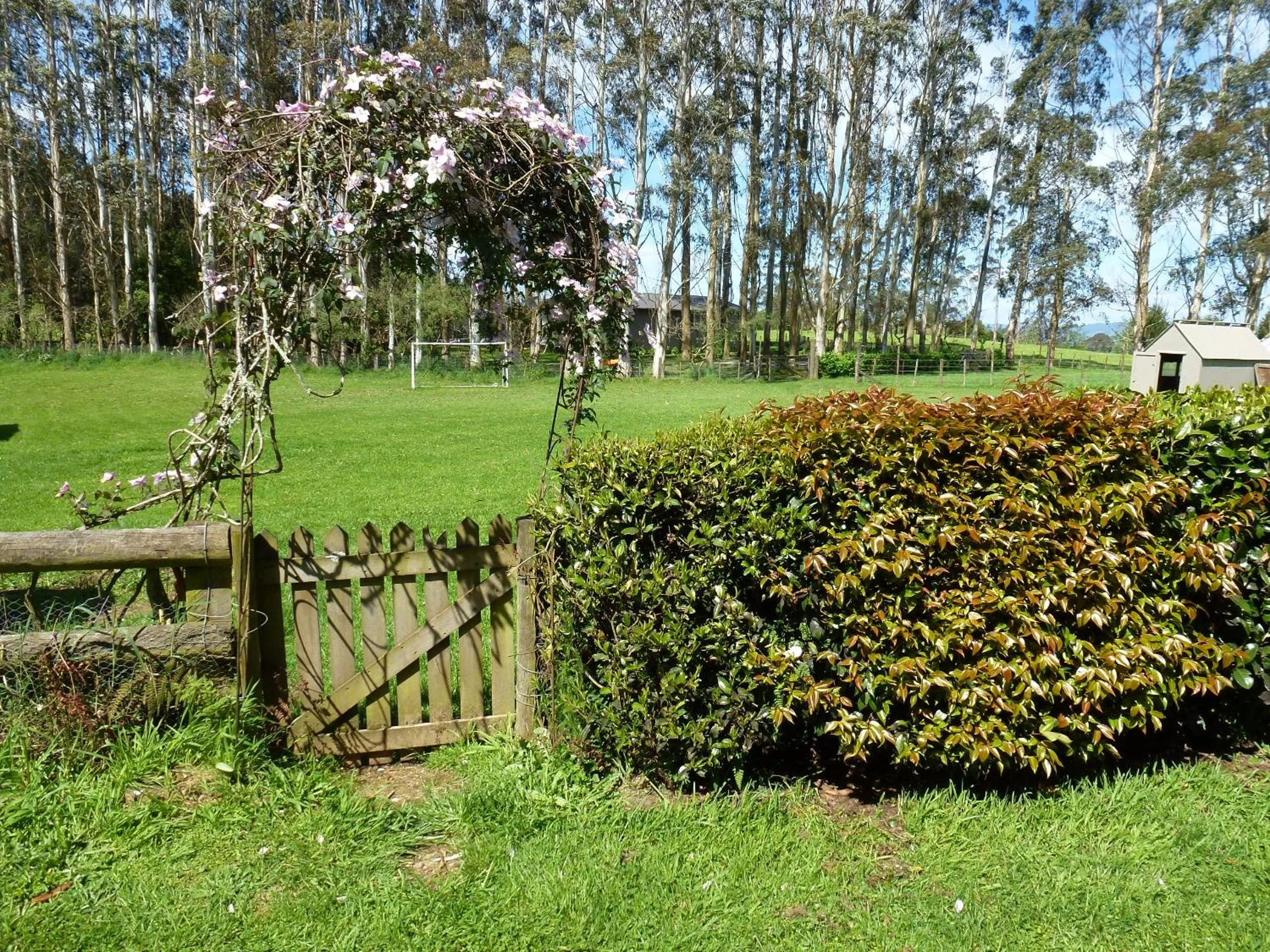 Garden in B&B Blossom Cottage