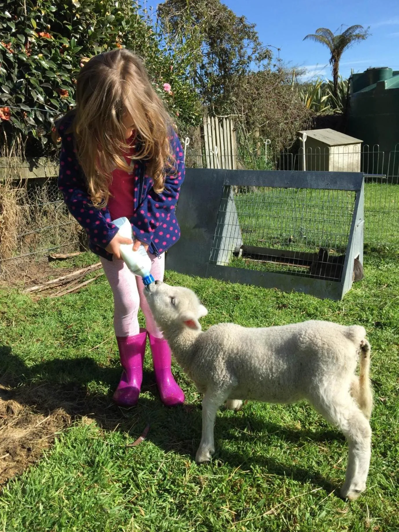 Pets, Children in B&B Blossom Cottage