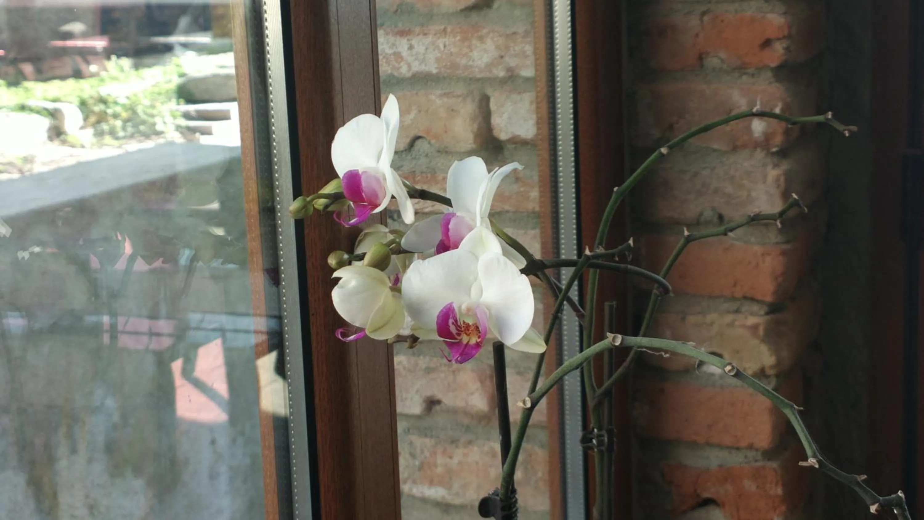 Lobby or reception in Selena Hotel