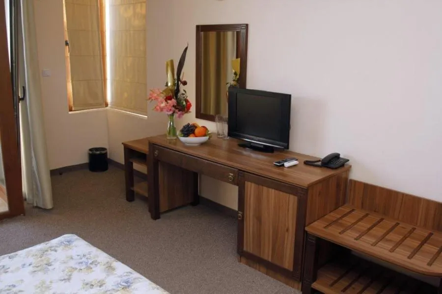 TV and multimedia in Selena Hotel