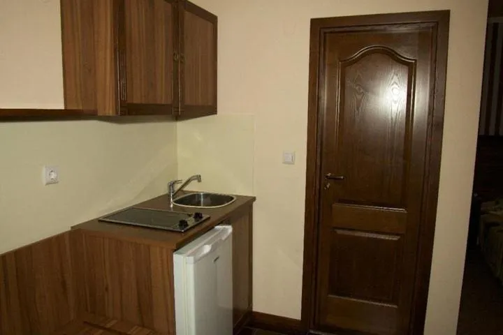 Kitchen or kitchenette in Selena Hotel