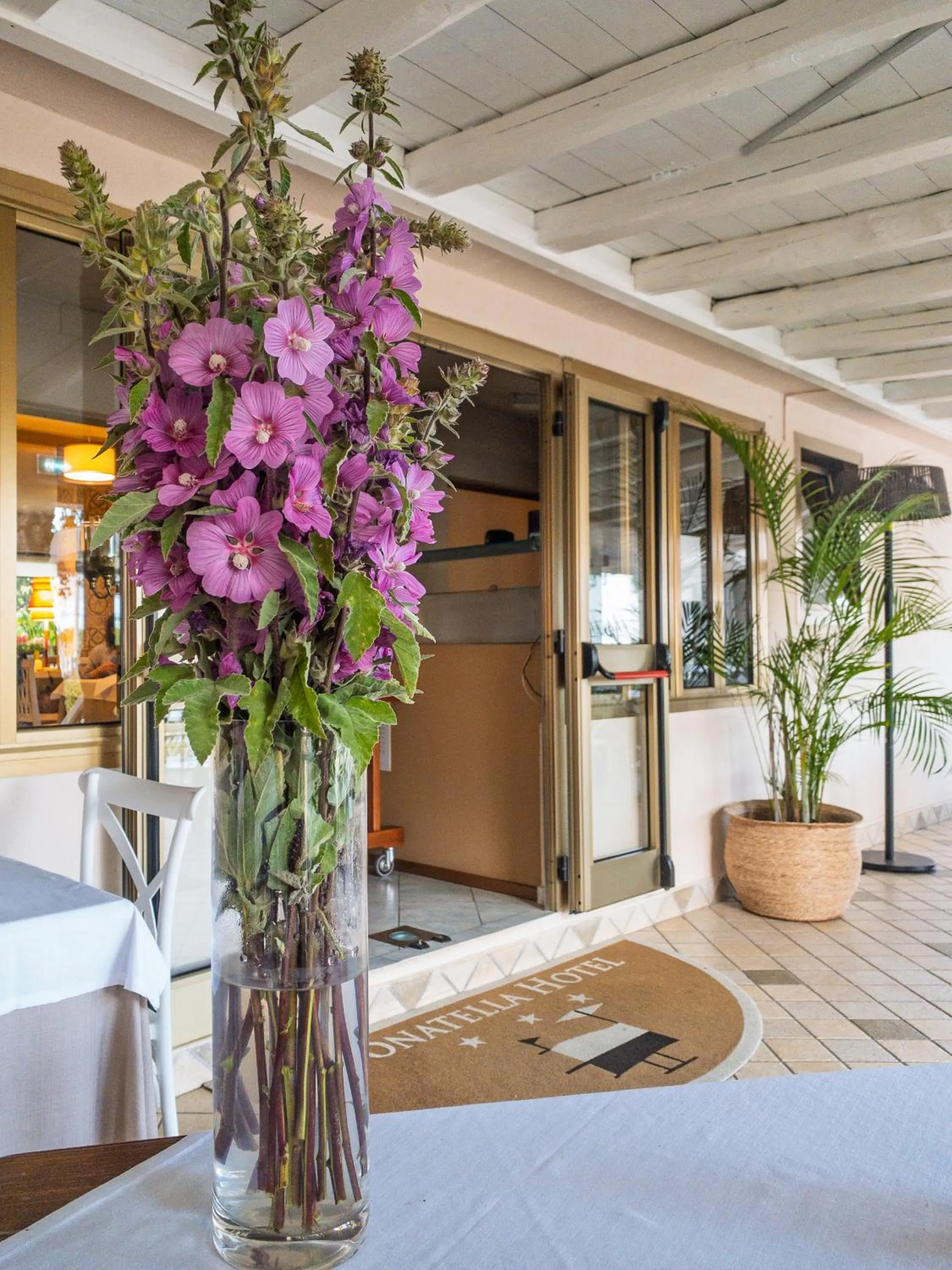 Restaurant/places to eat in Hotel Donatella