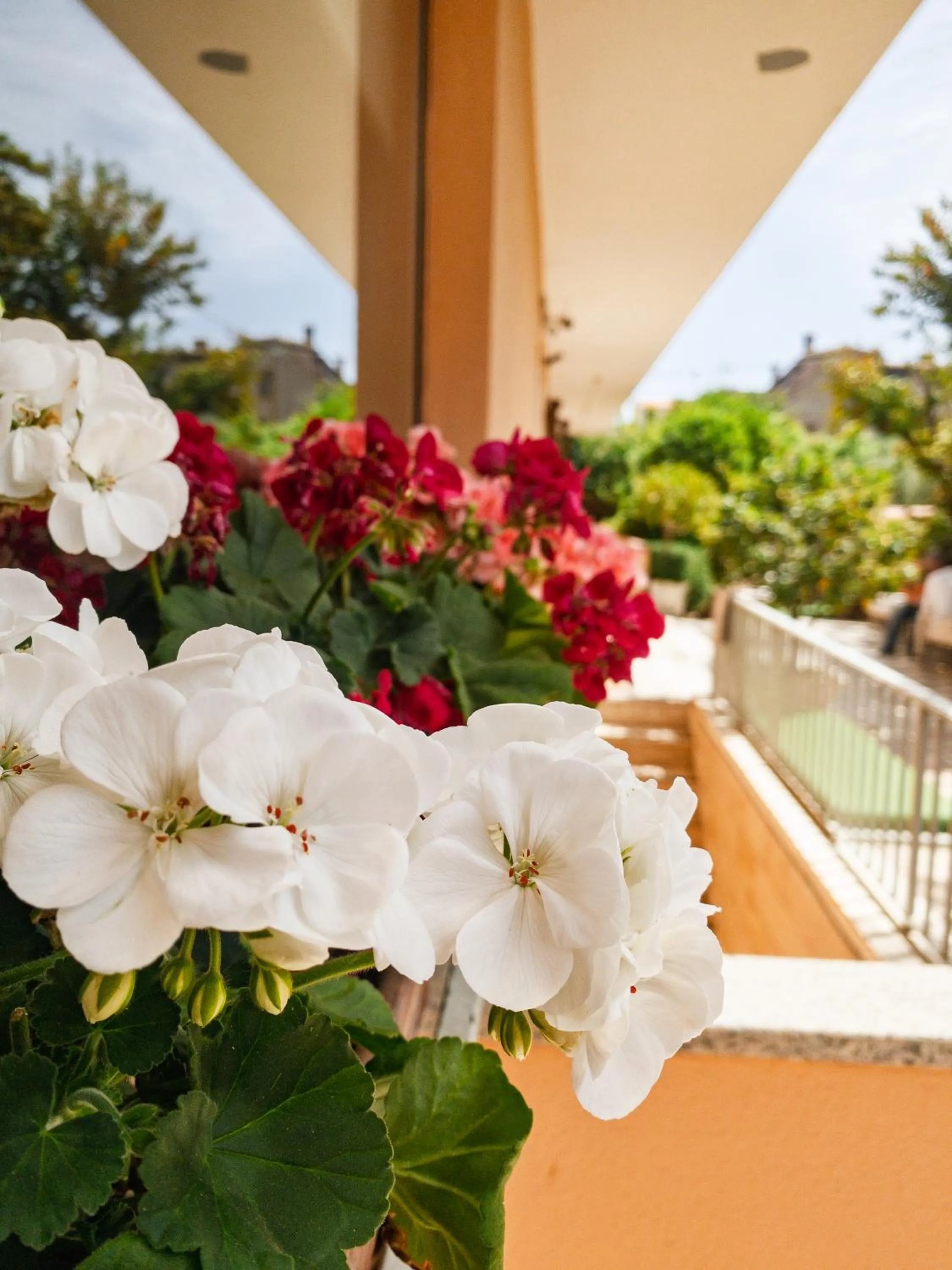 Garden in Hotel Donatella