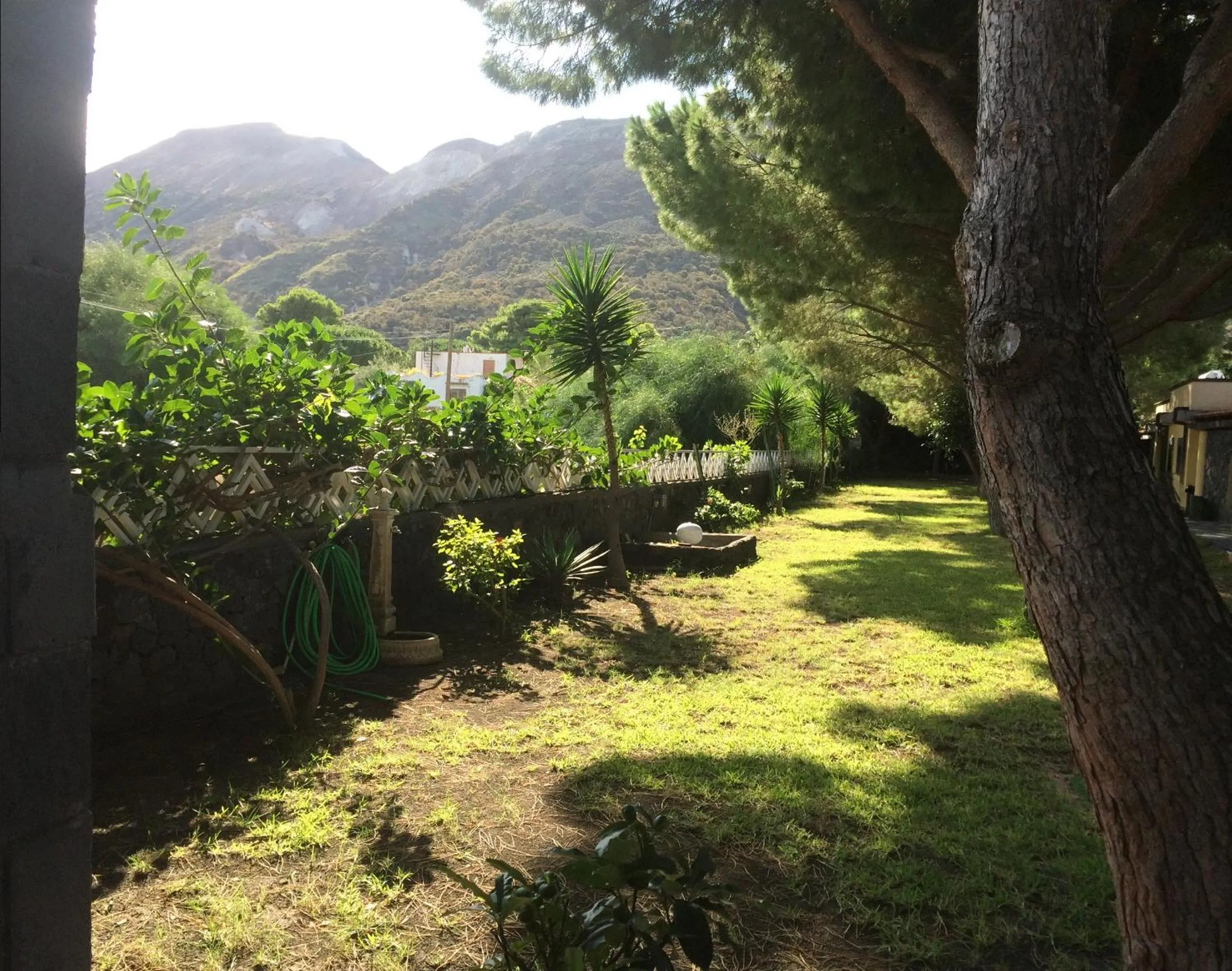 Garden in Hotel Al Togo Fitness & Relax