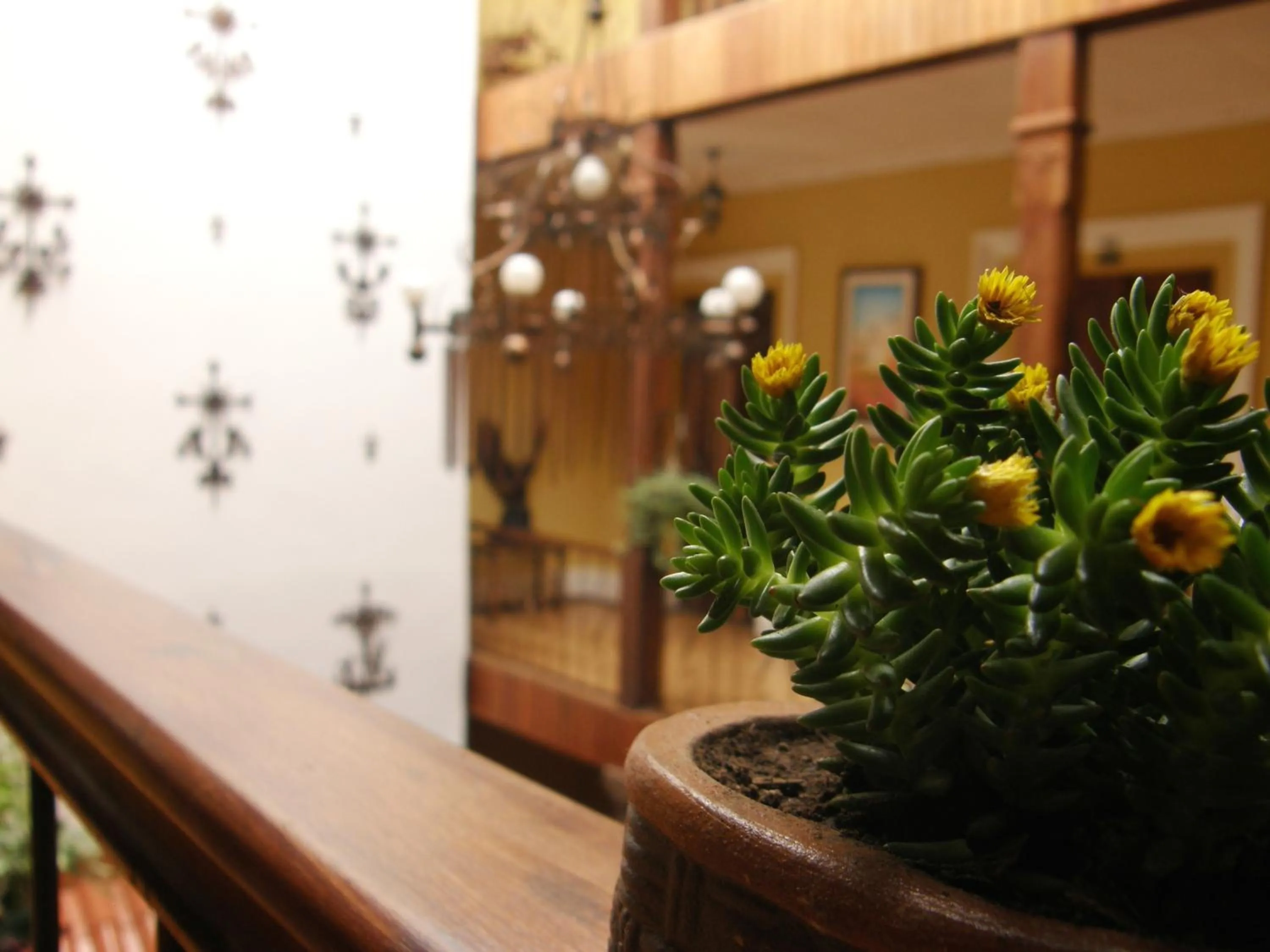 Business facilities in Mía Leticia B&B