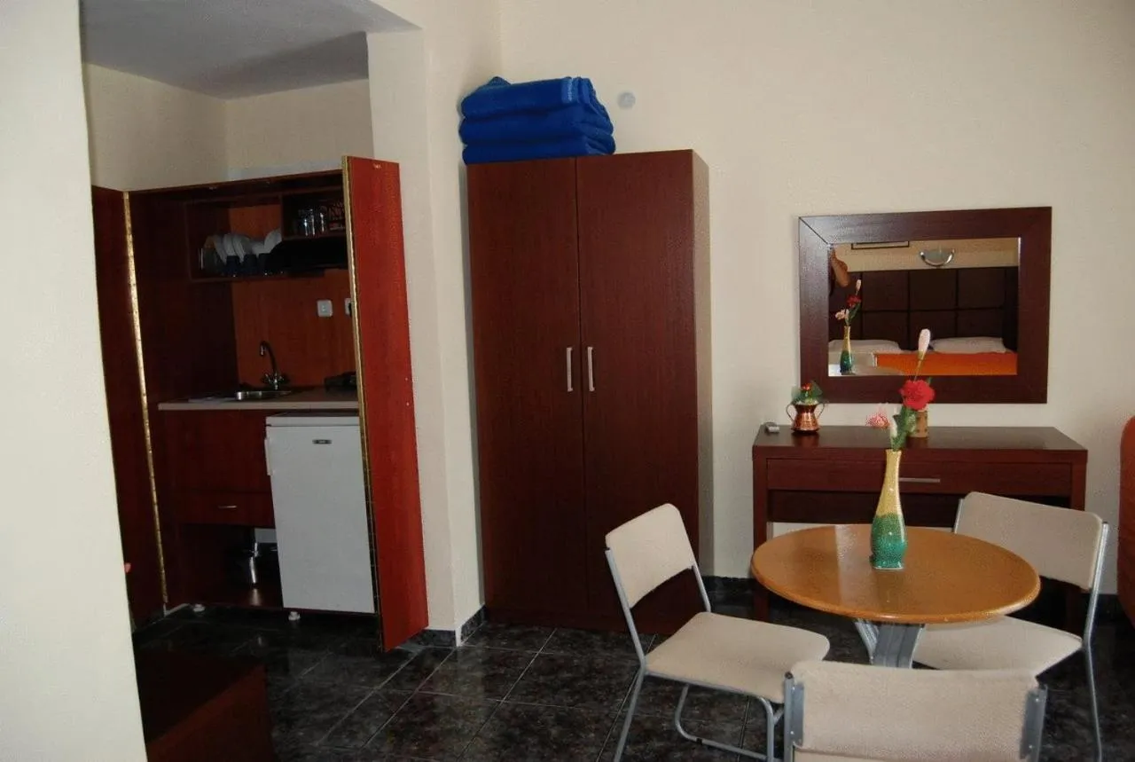 Kitchen or kitchenette in Hotel Dias Apartment