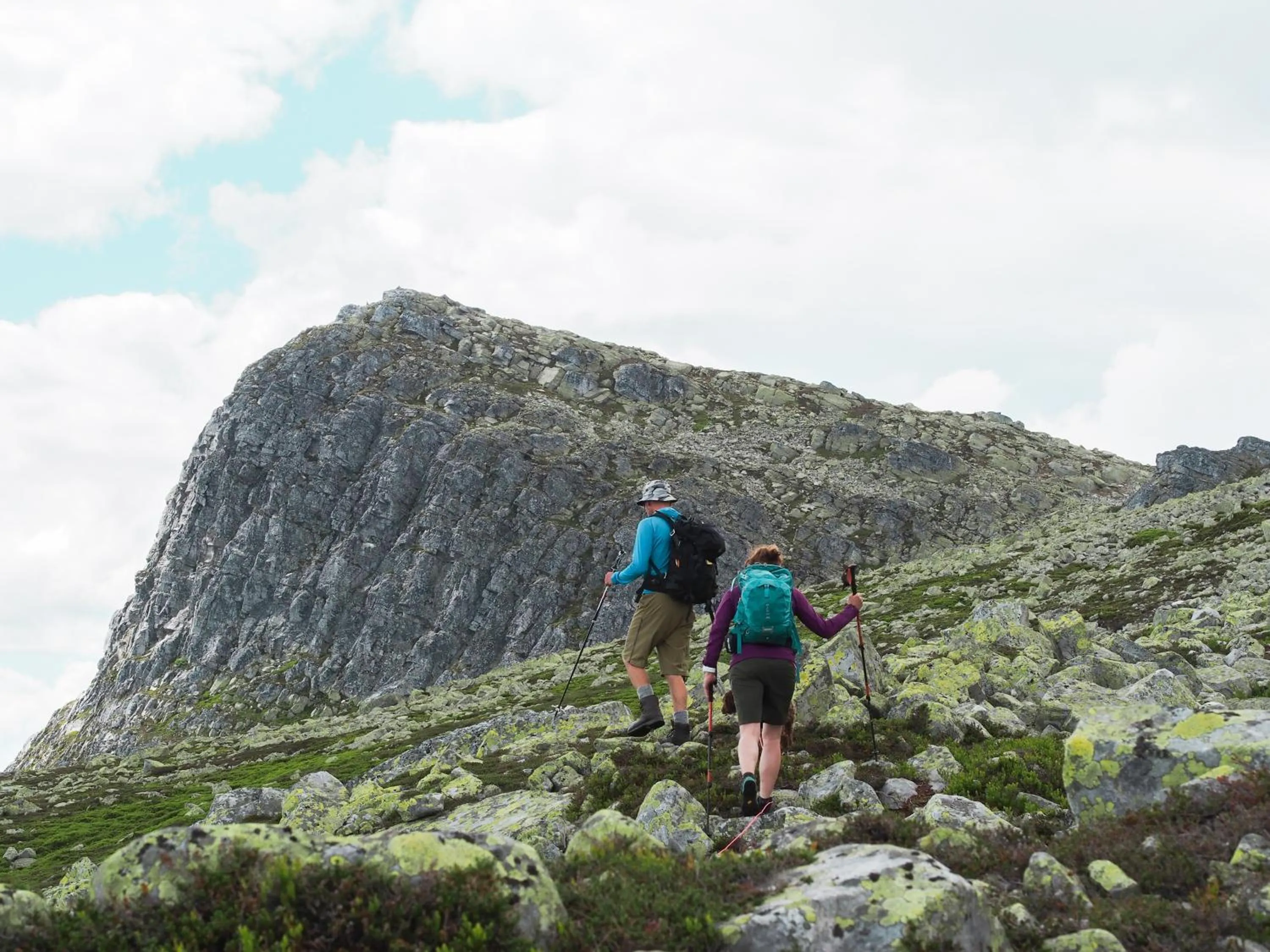 Natural landscape in Gaustablikk Fjellresort