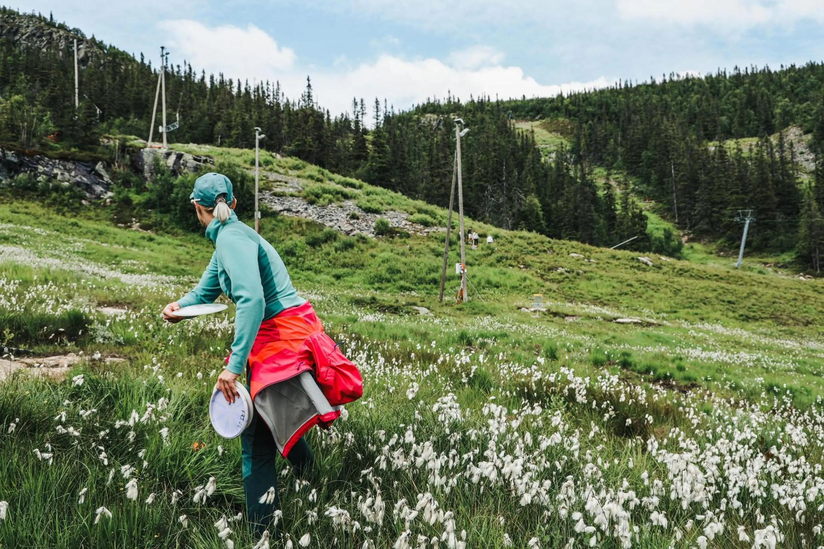 Natural landscape in Gaustablikk Fjellresort