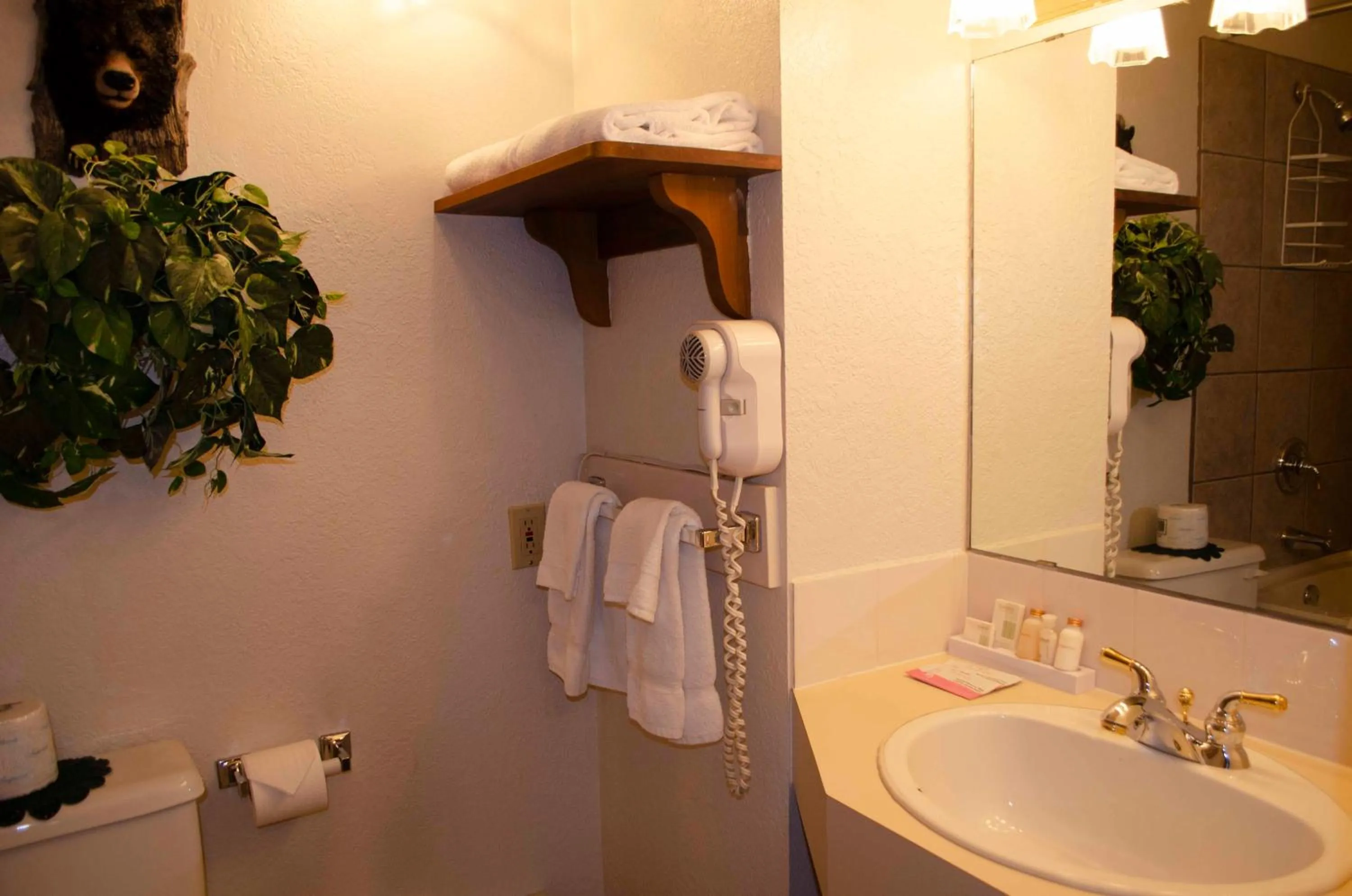 Bathroom in Crandell Mountain Lodge