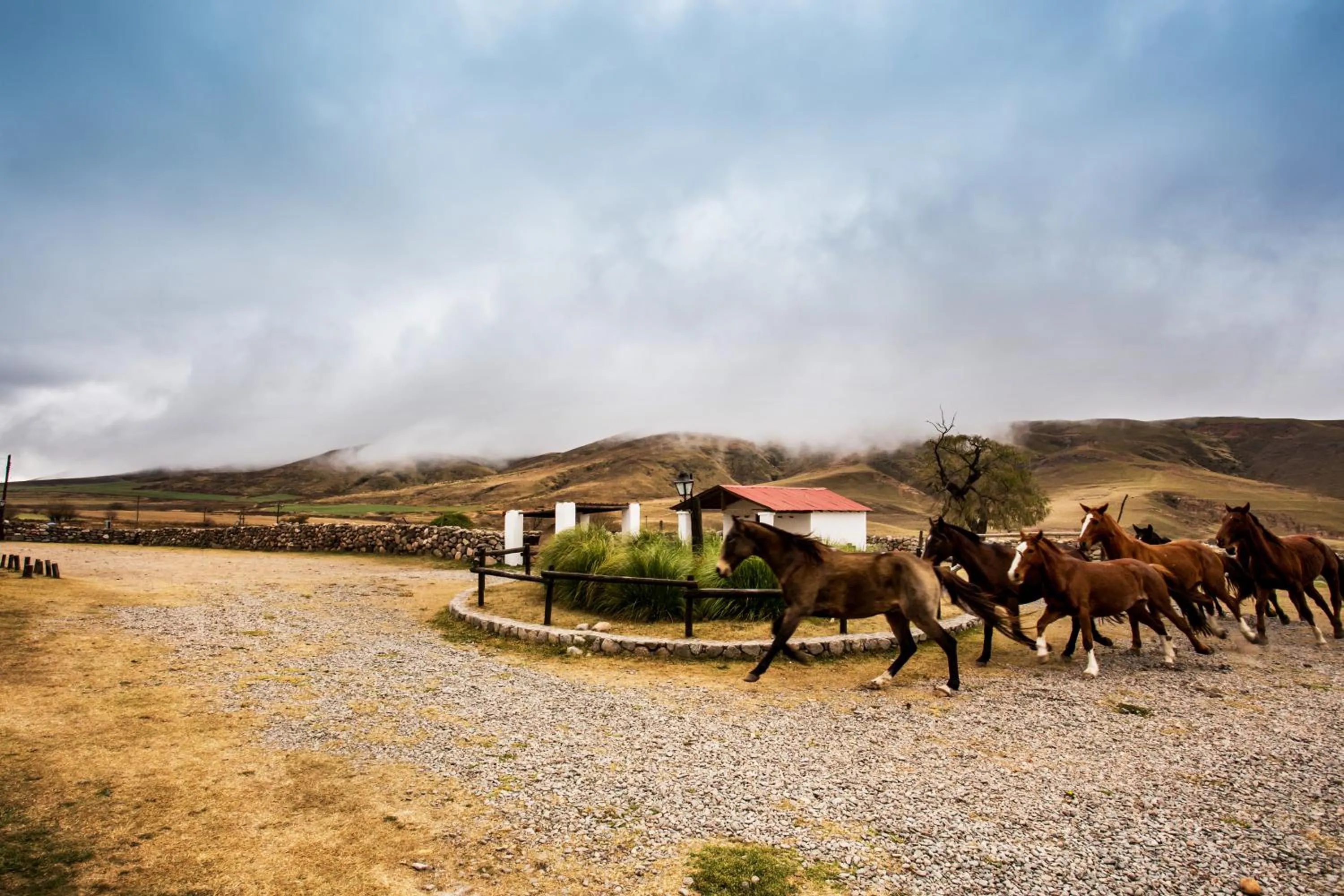 Estancia Las Carreras