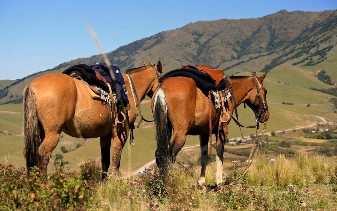 Estancia Las Carreras