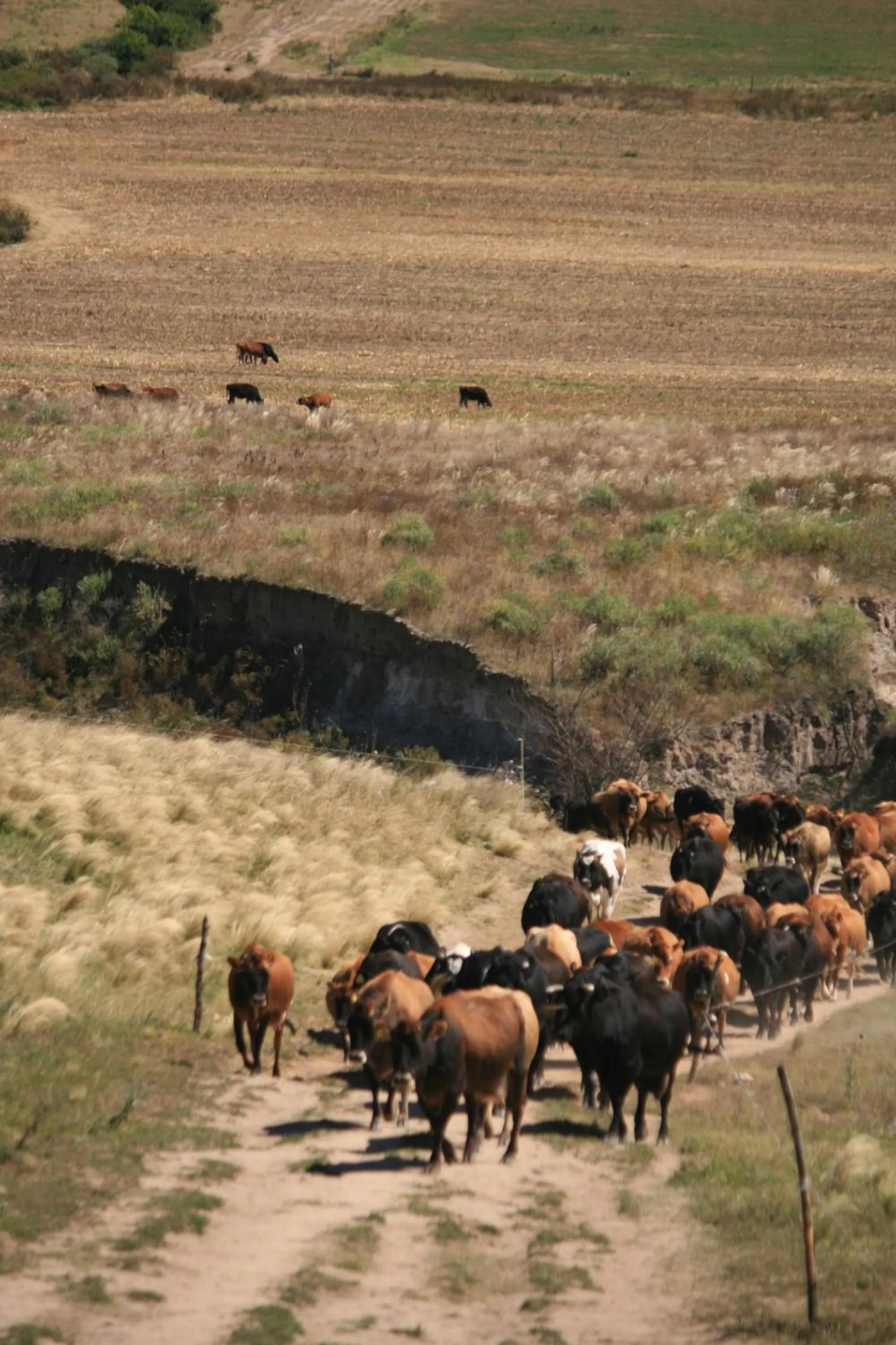 Day in Estancia Las Carreras