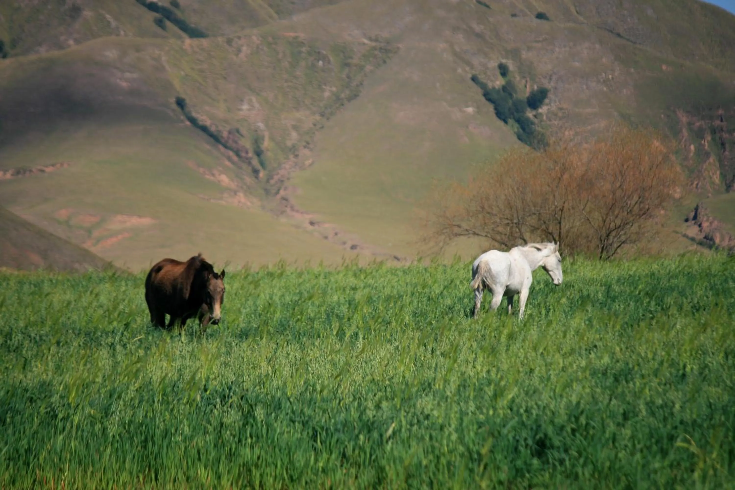 Day in Estancia Las Carreras