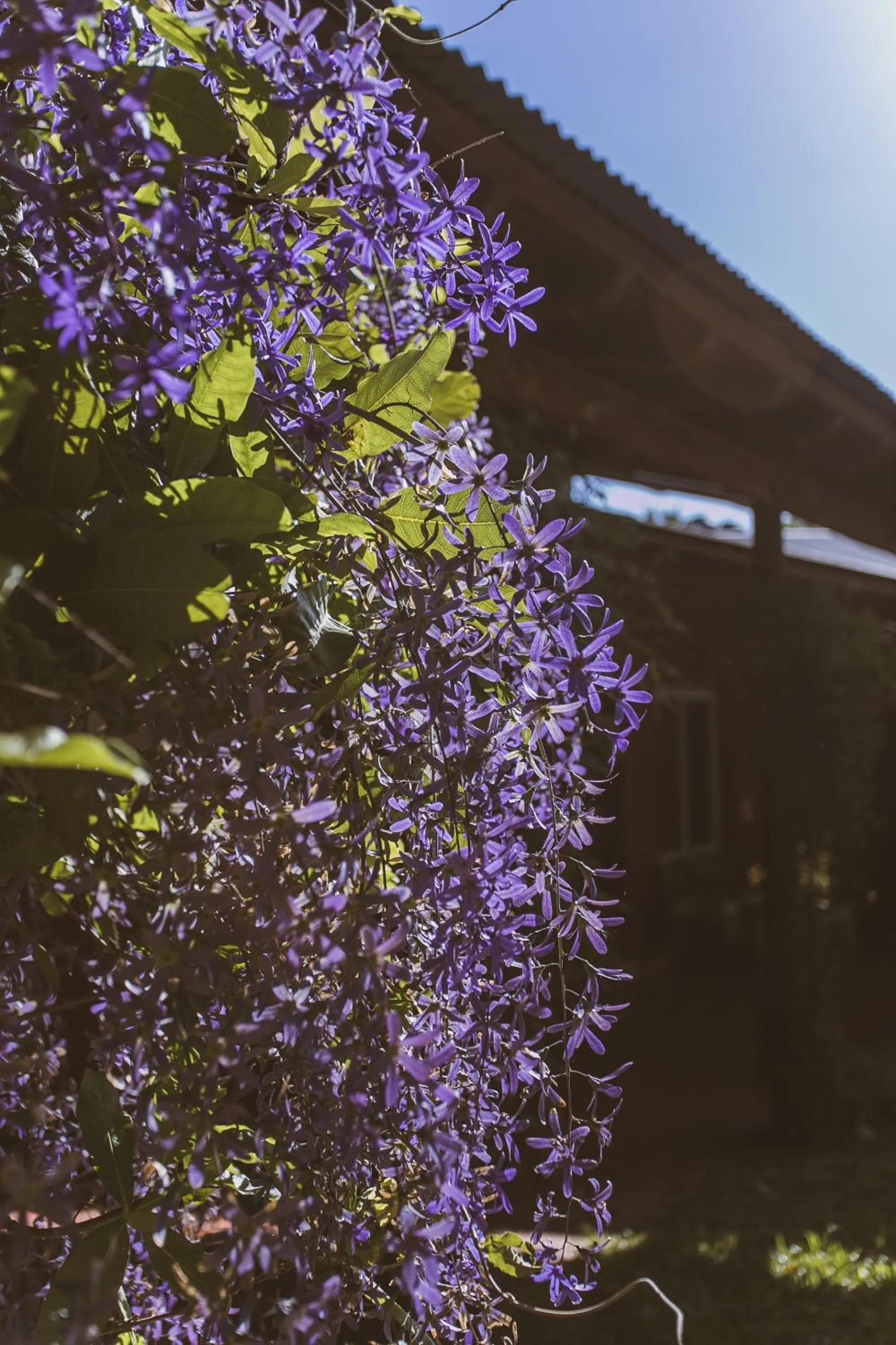 Río Arriba Suites & Apartments & Restó