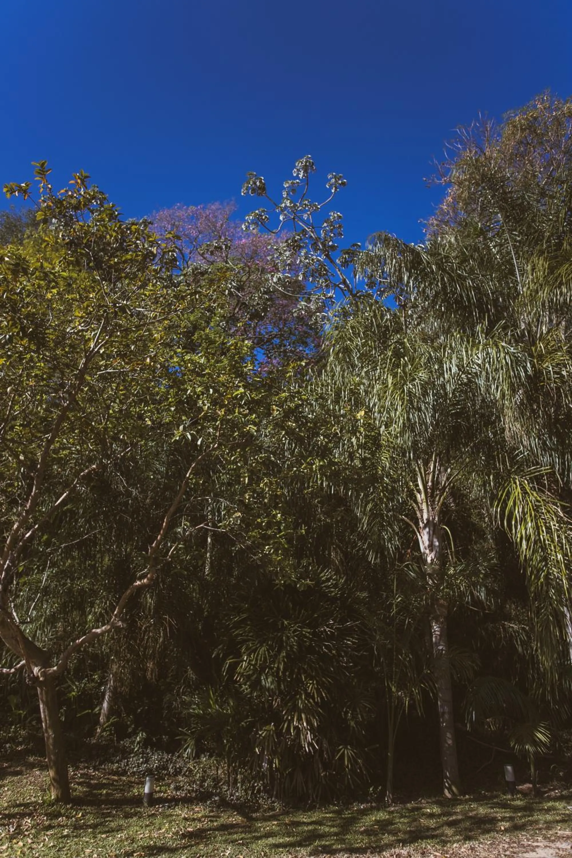 Río Arriba Suites & Apartments & Restó