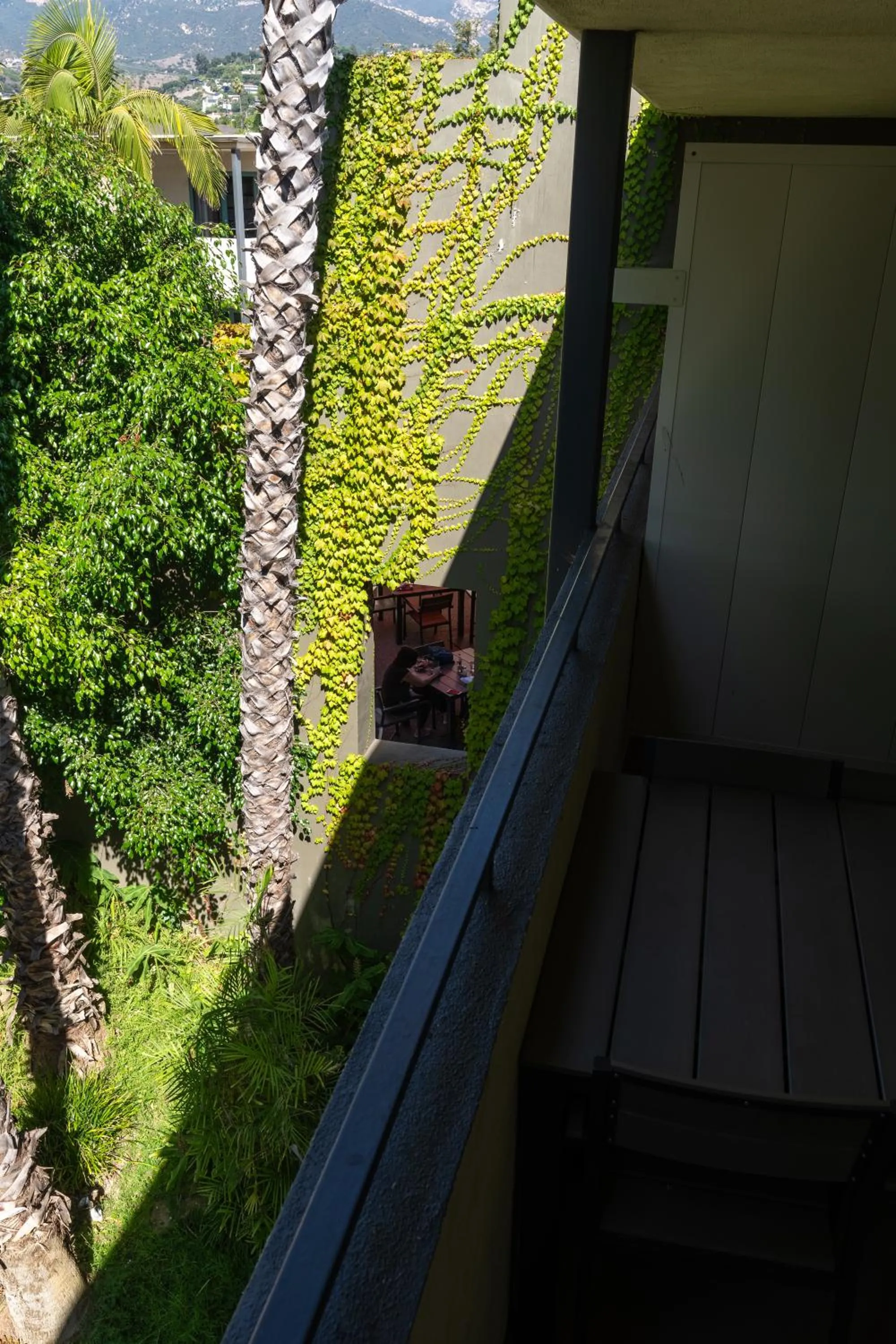 Natural landscape in Lemon Tree Inn