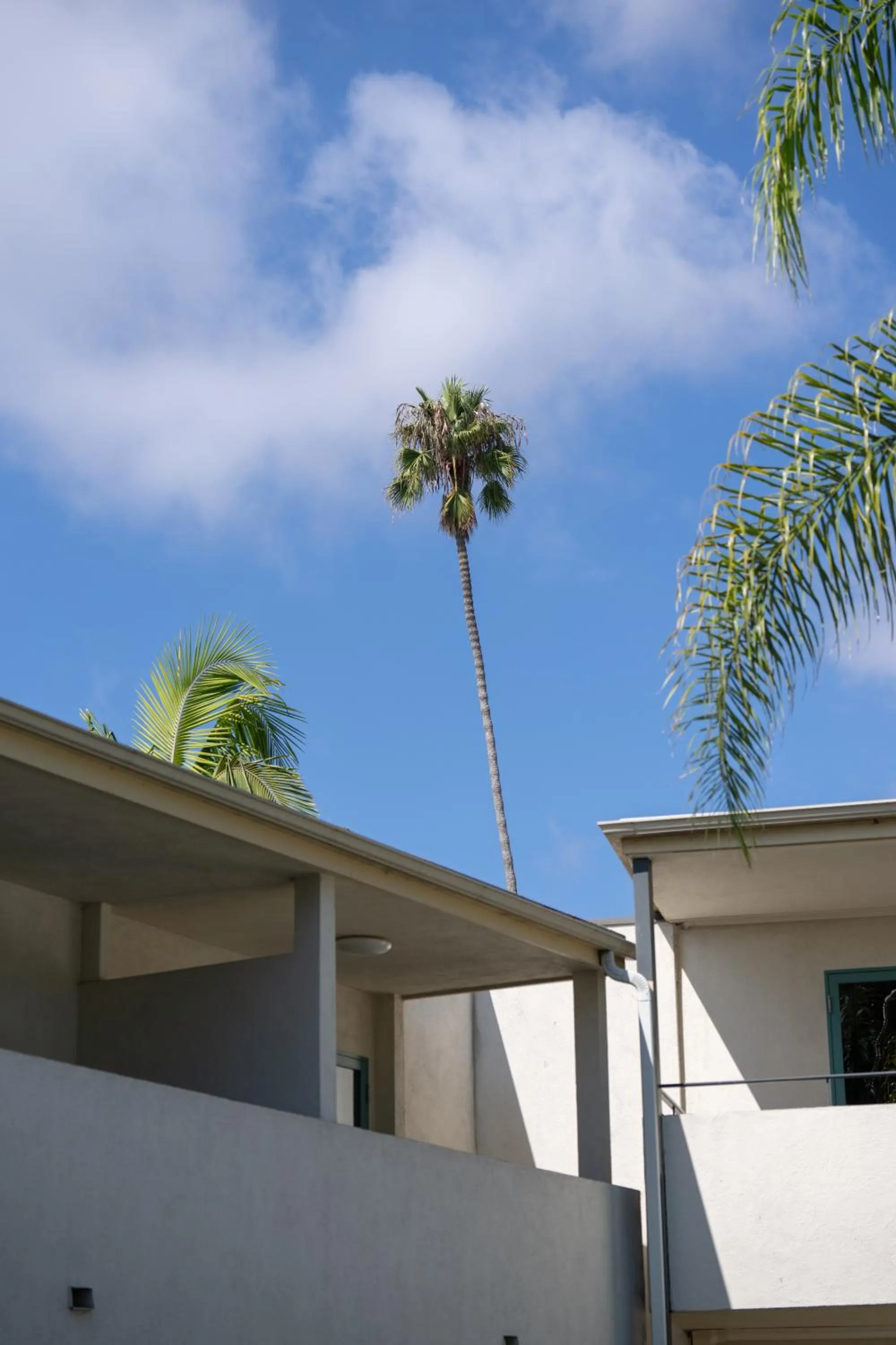Property building in Lemon Tree Inn
