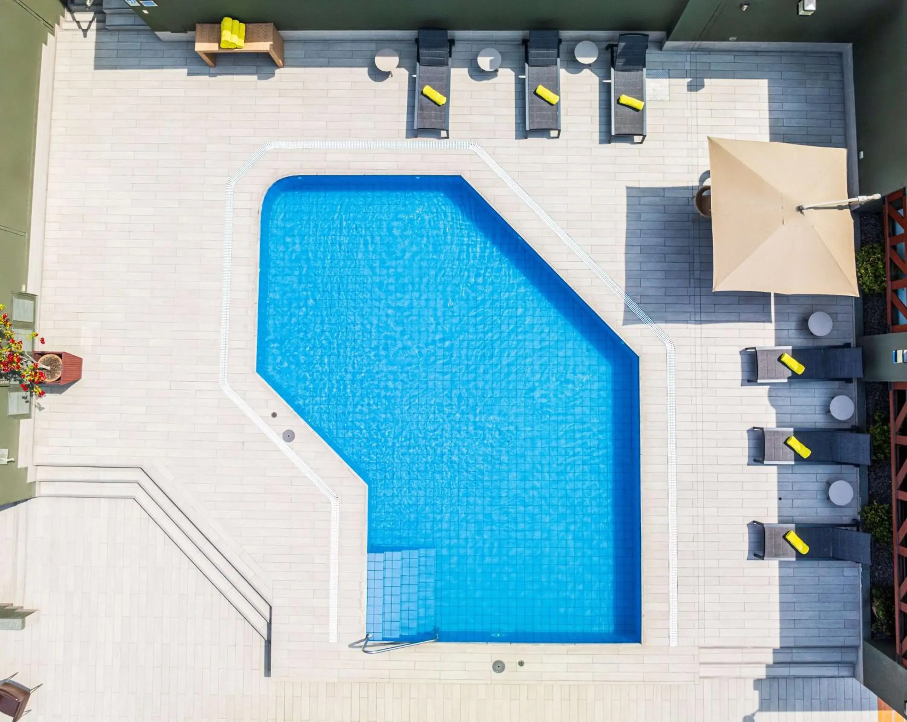 Pool view in Sonesta Hotel El Olivar Pool view in Sonesta Hotel El Olivar