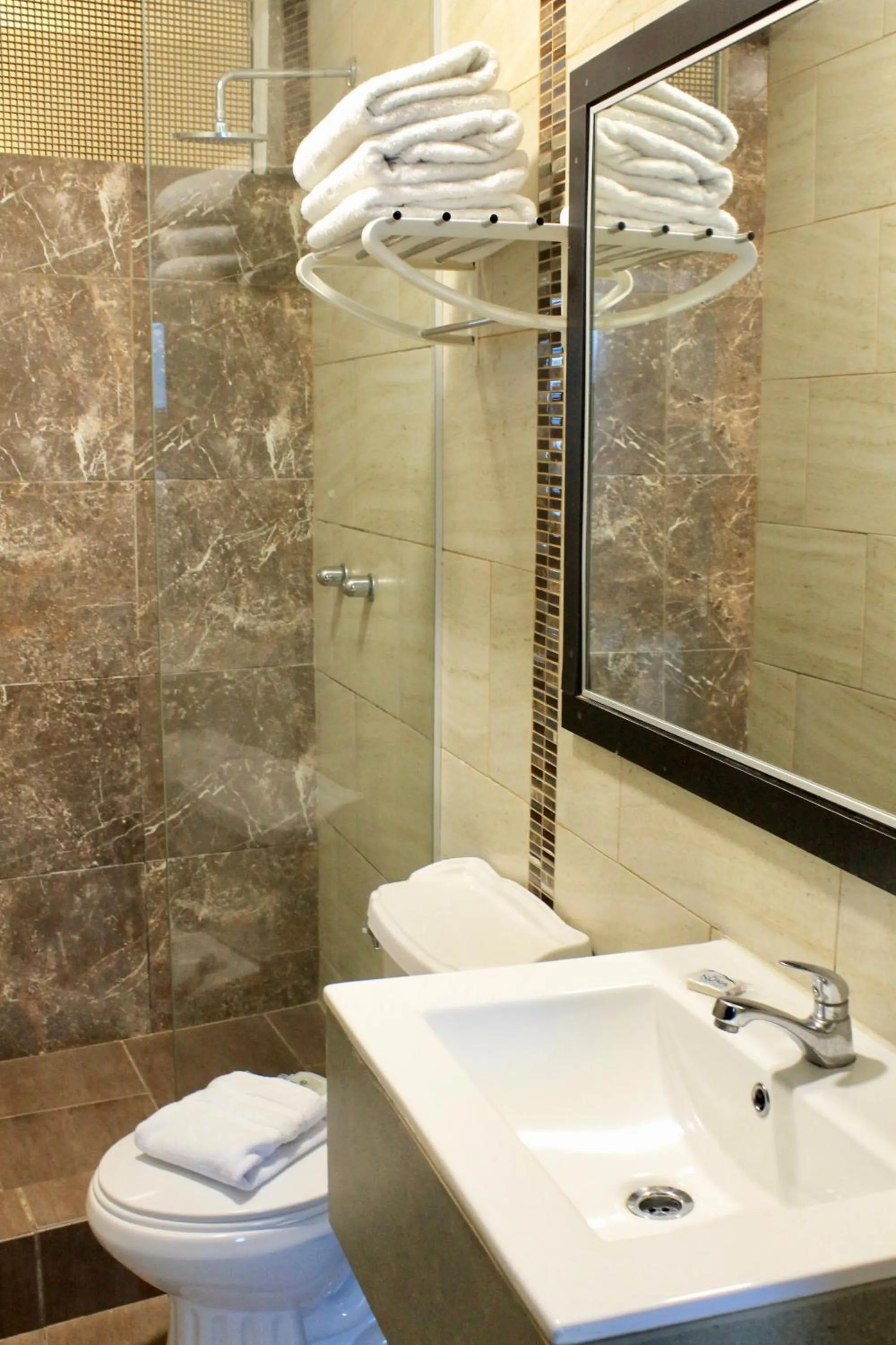 Shower in Hotel Presidente Internacional