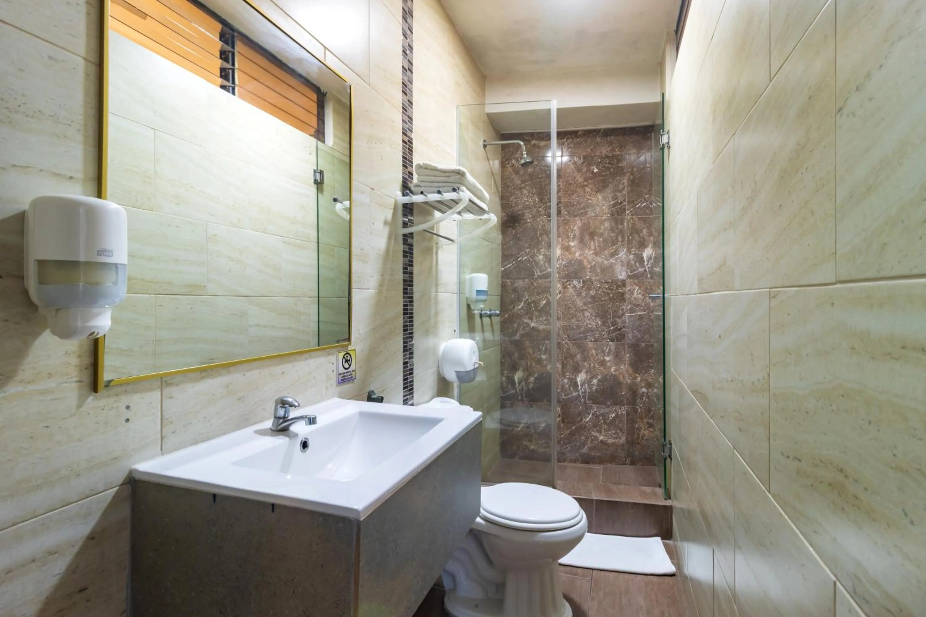 Shower in Hotel Presidente Internacional