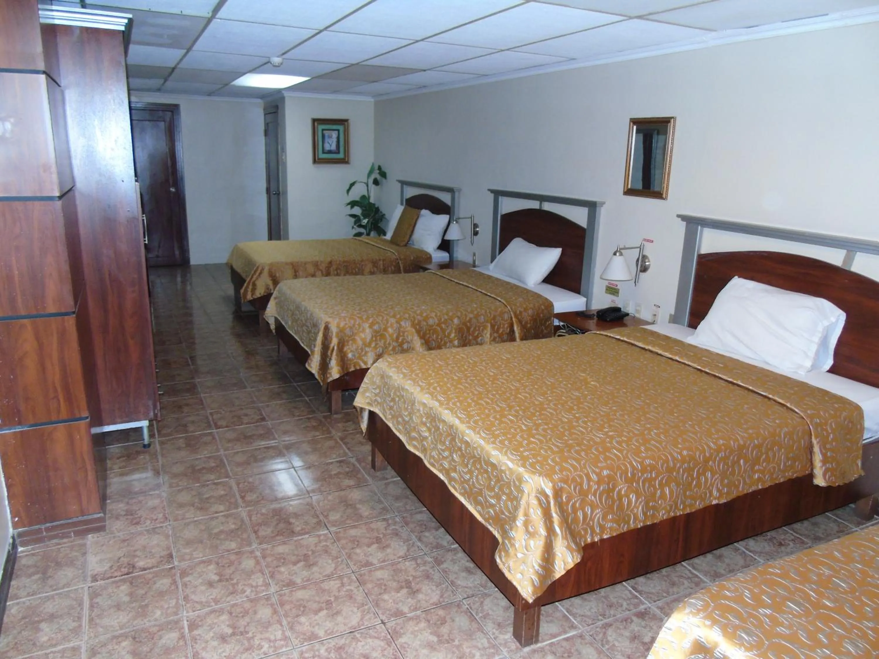 Bed in Hotel Malecon Inn
