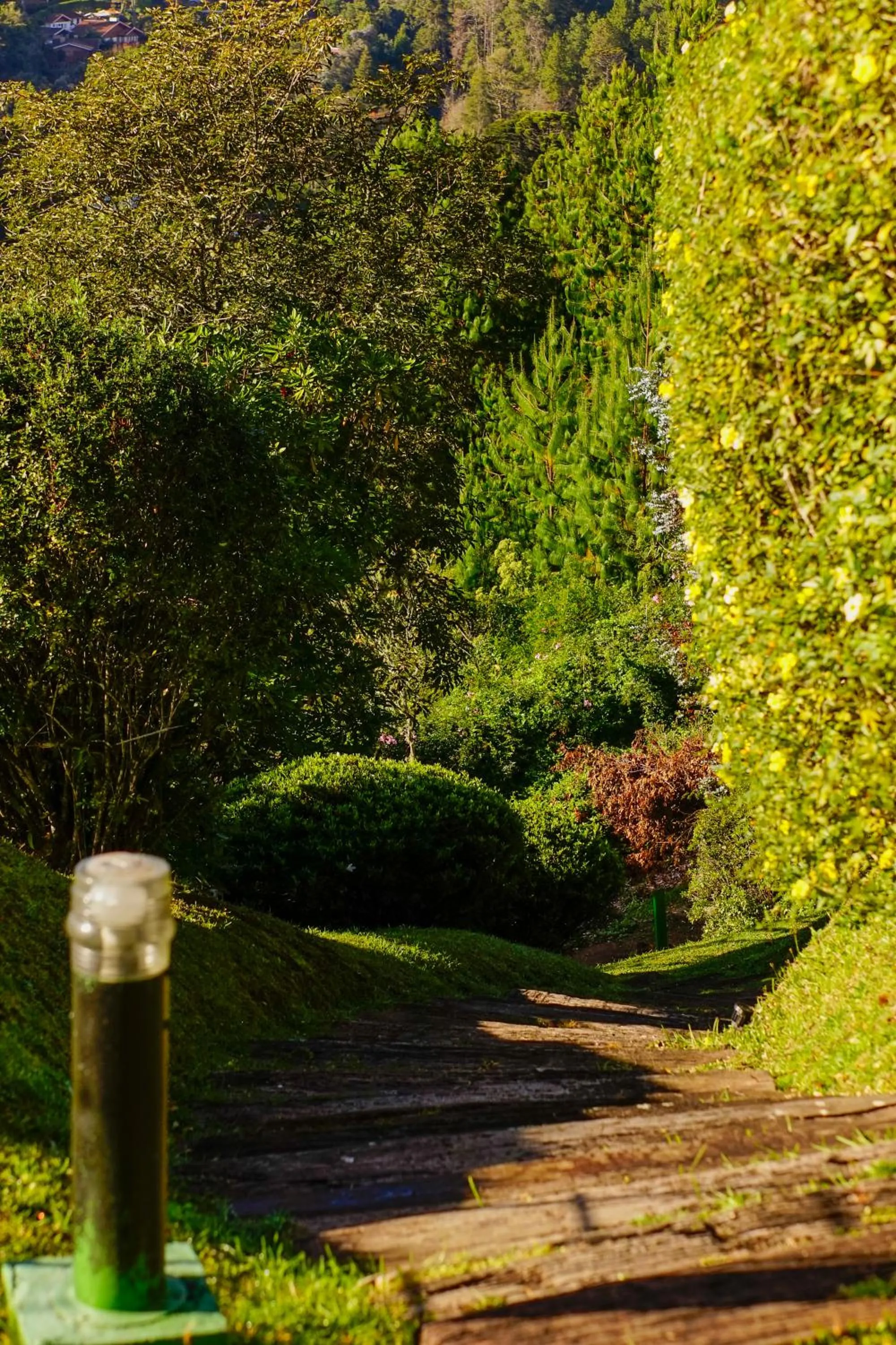 Spring in Pousada Constellation Lodge